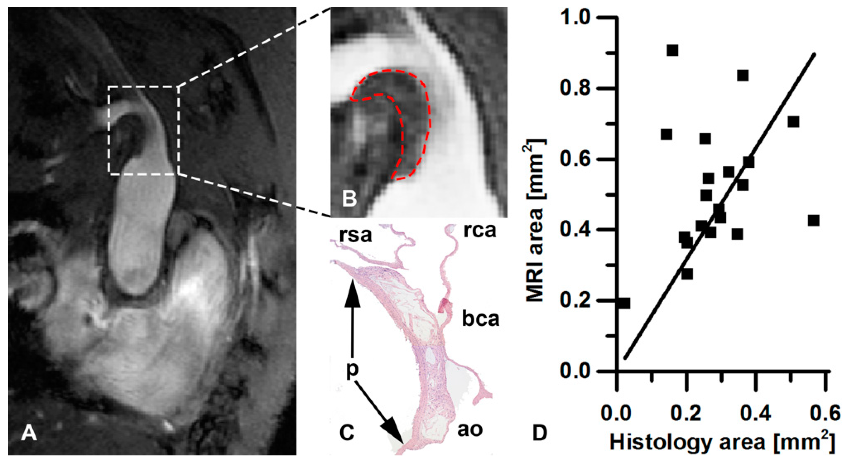 Pharmaceutics 13 00279 g005