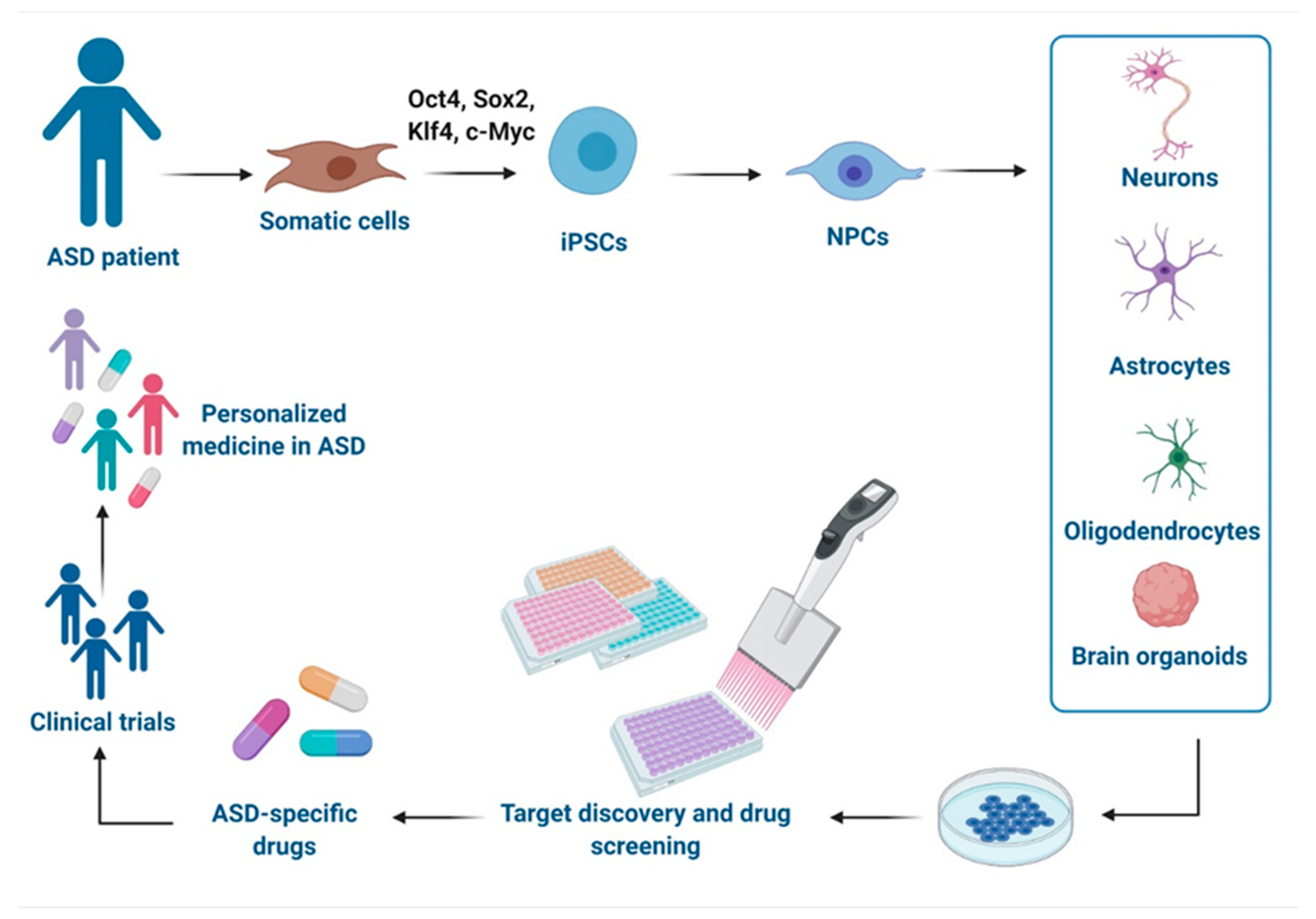 Pharmaceutics 13 00280 g001