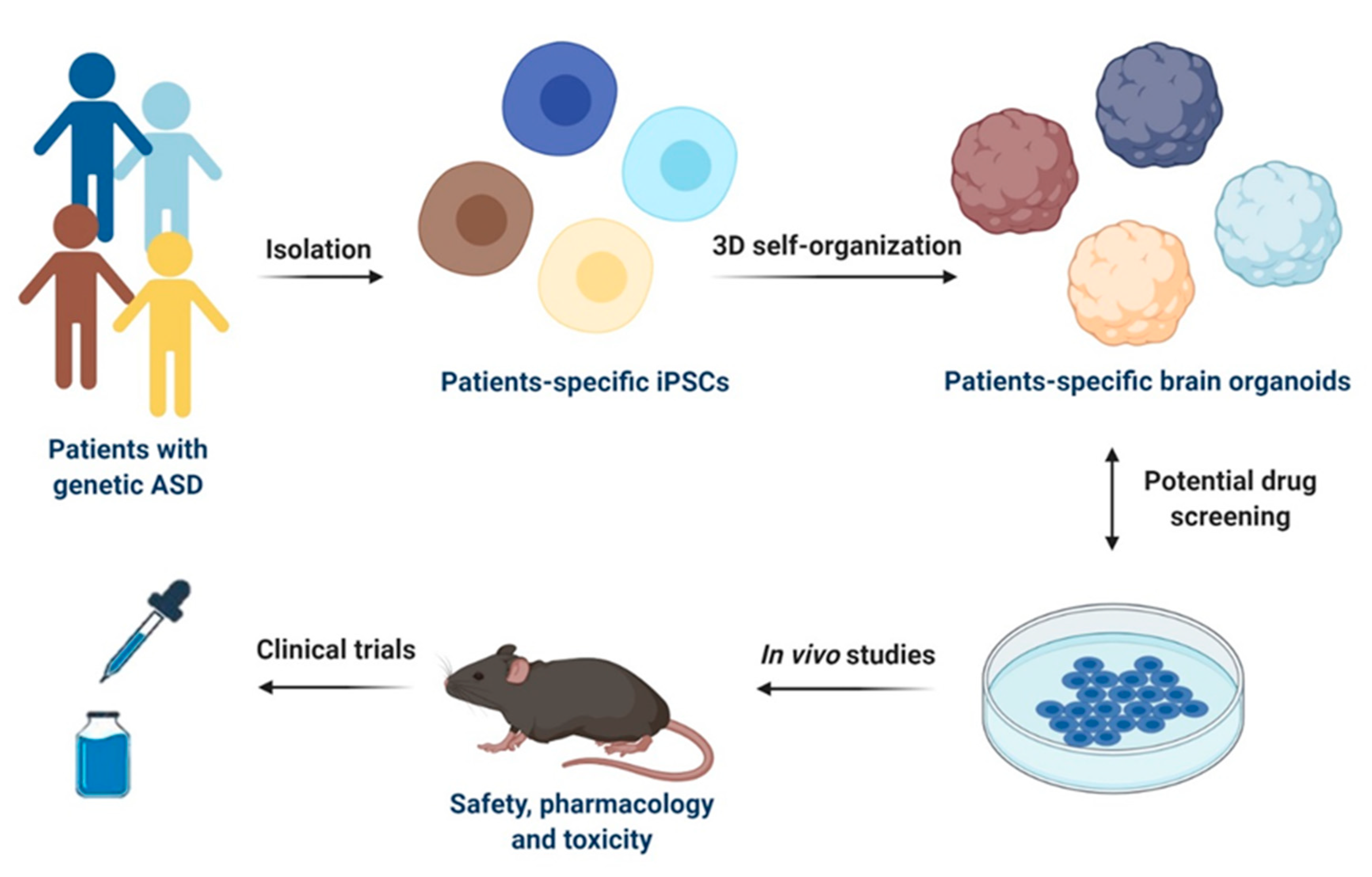 Pharmaceutics 13 00280 g002