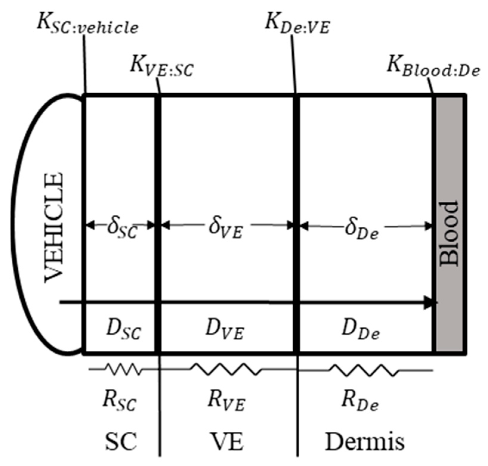 Pharmaceutics 13 00284 g002 Pharmaceutics 13 00284 g002