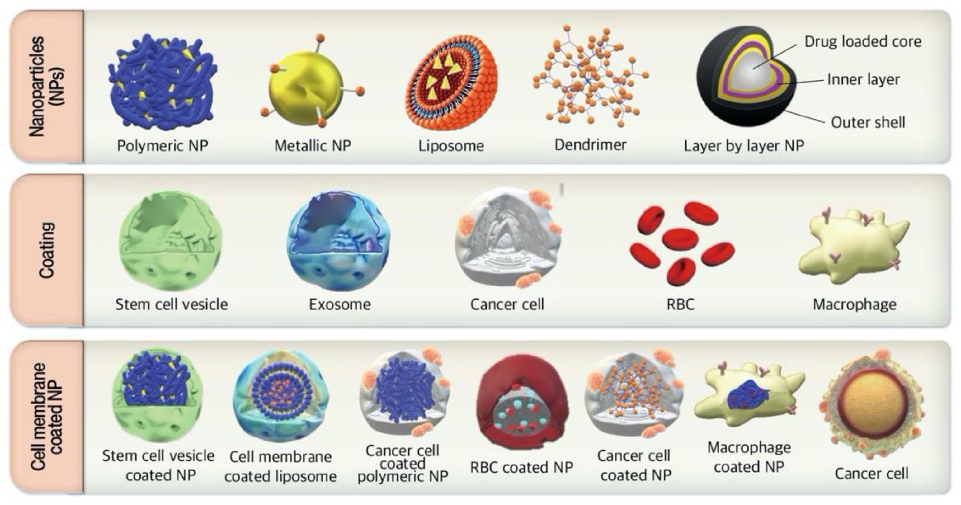 Pharmaceutics 13 00287 g001