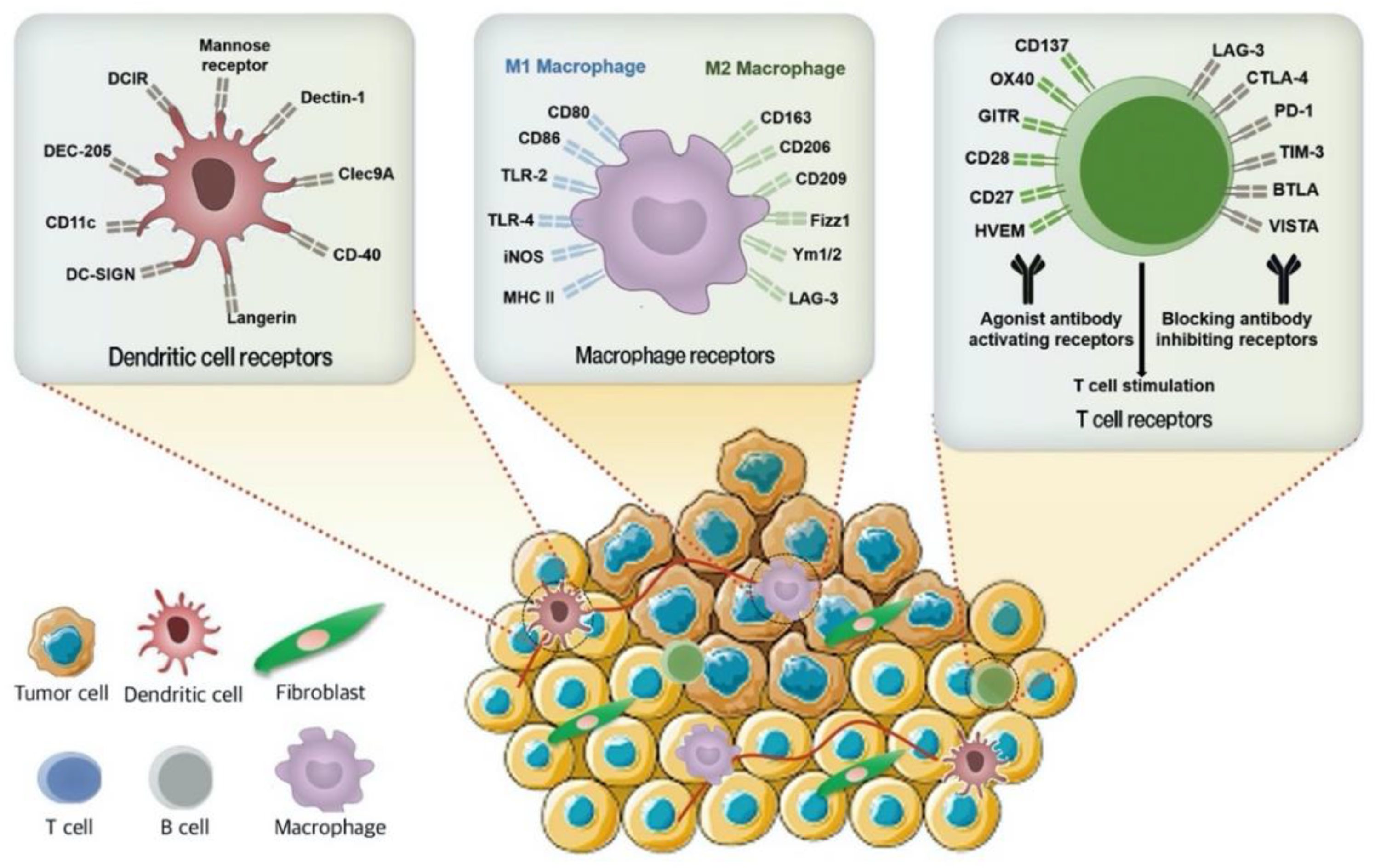 Pharmaceutics 13 00287 g002