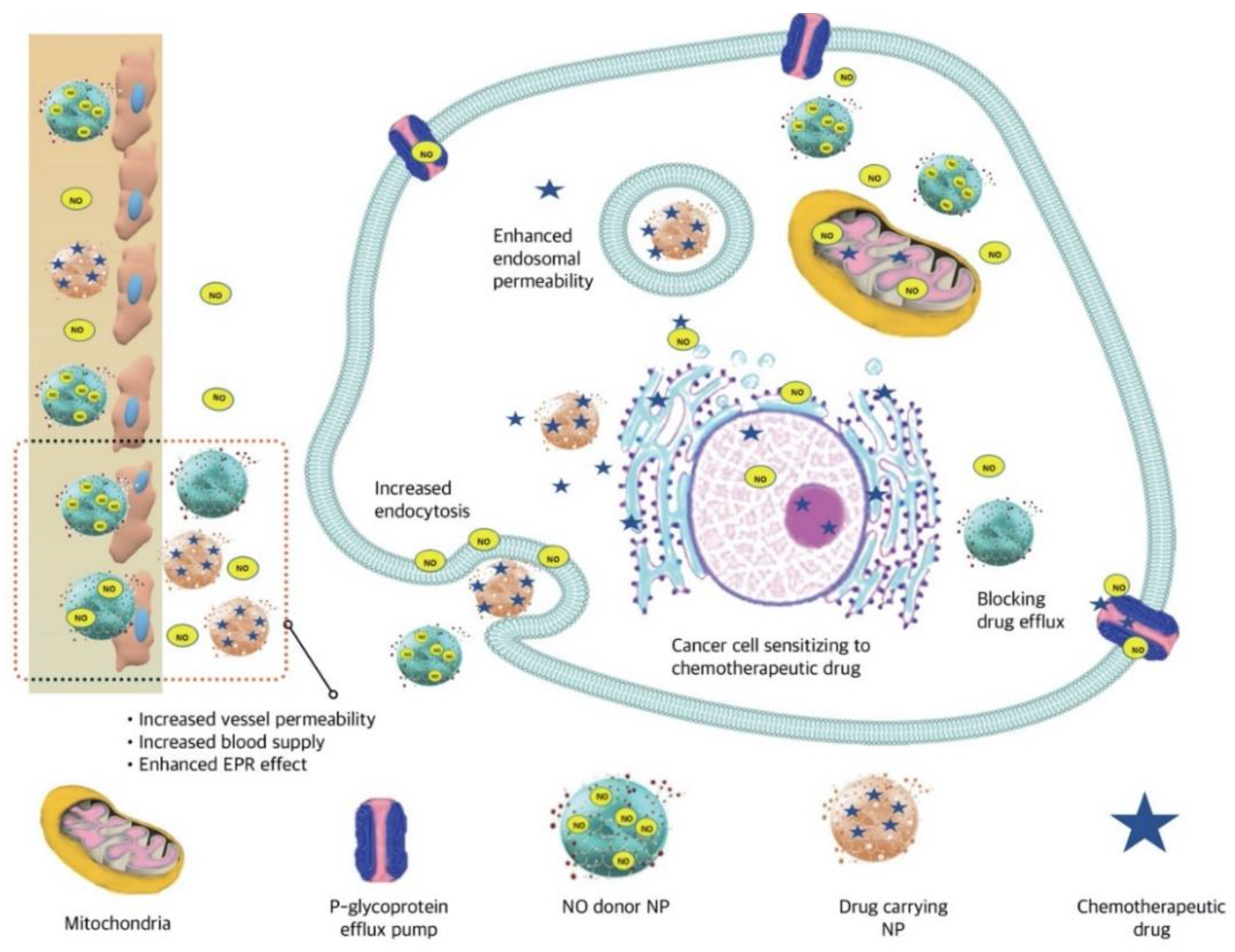 Pharmaceutics 13 00287 g006