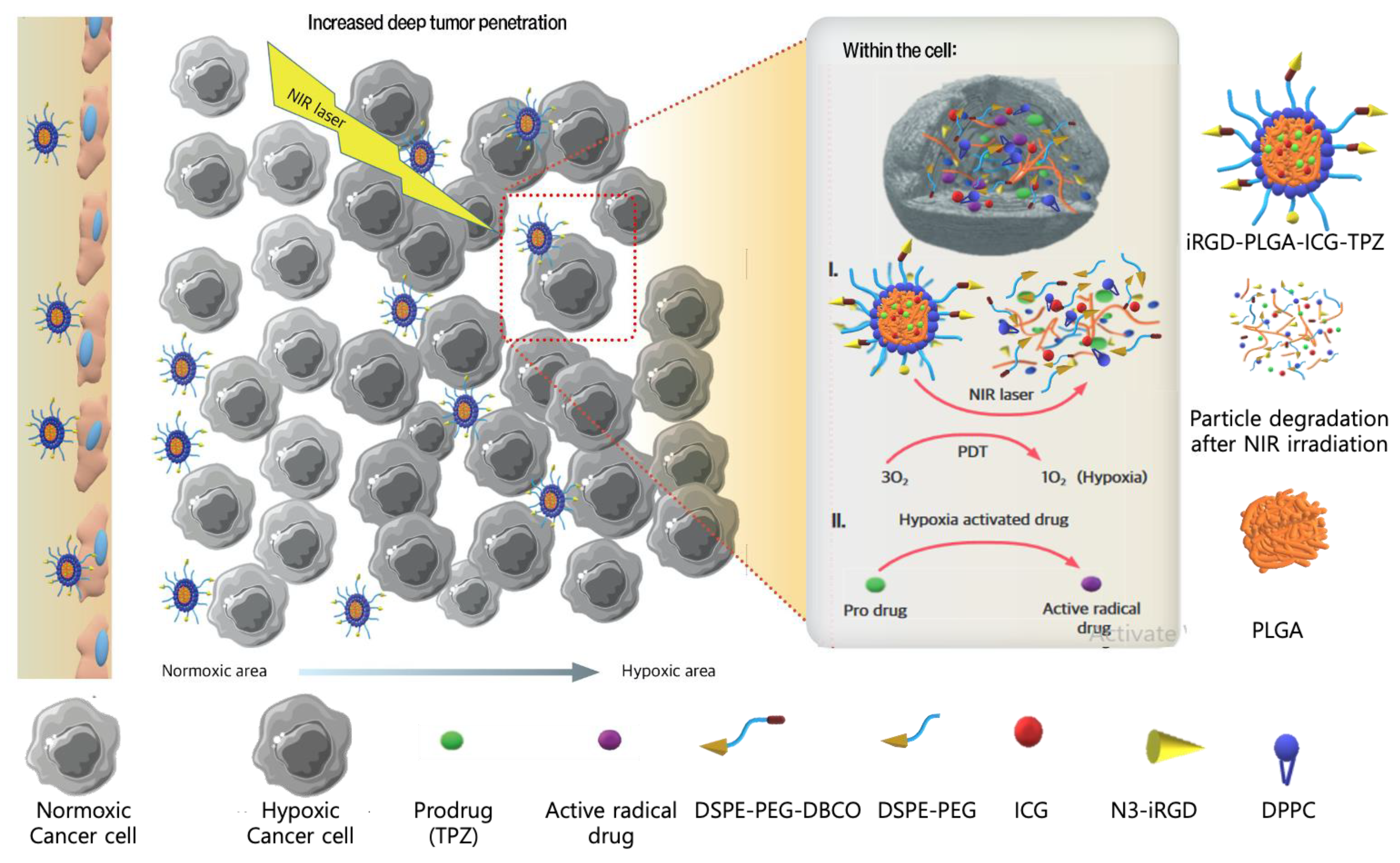 Pharmaceutics 13 00287 g007