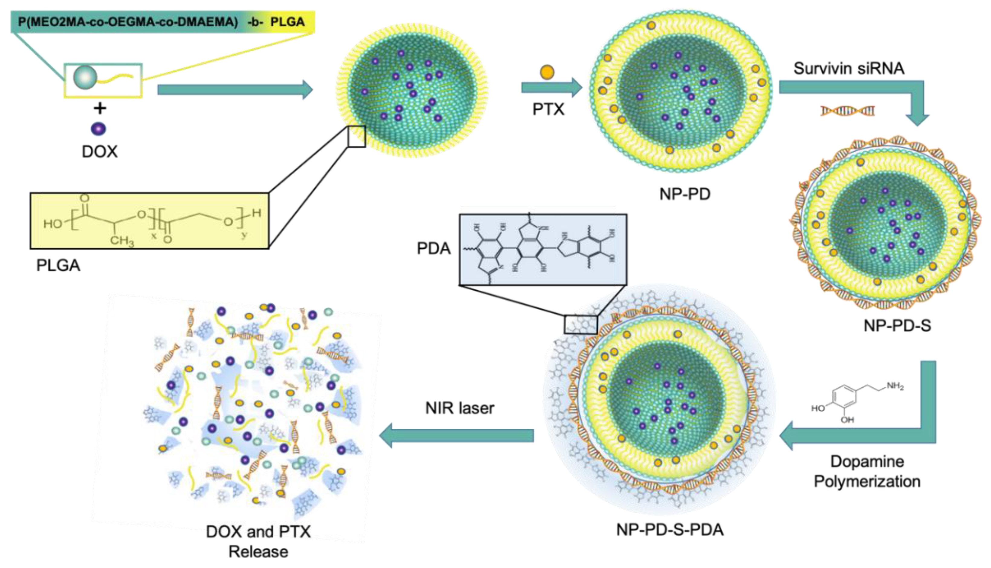 Pharmaceutics 13 00287 g008