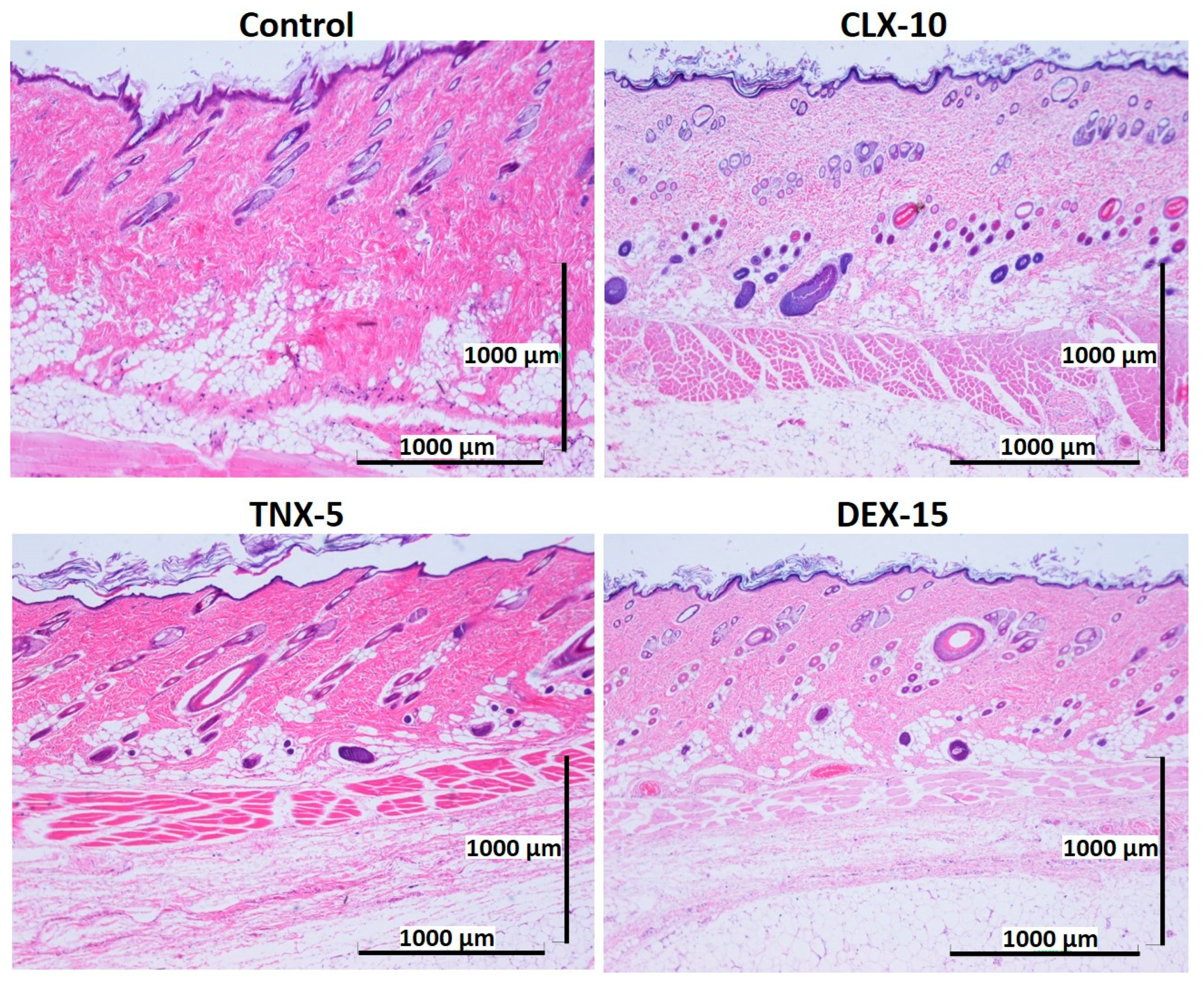 Pharmaceutics 13 00290 g007