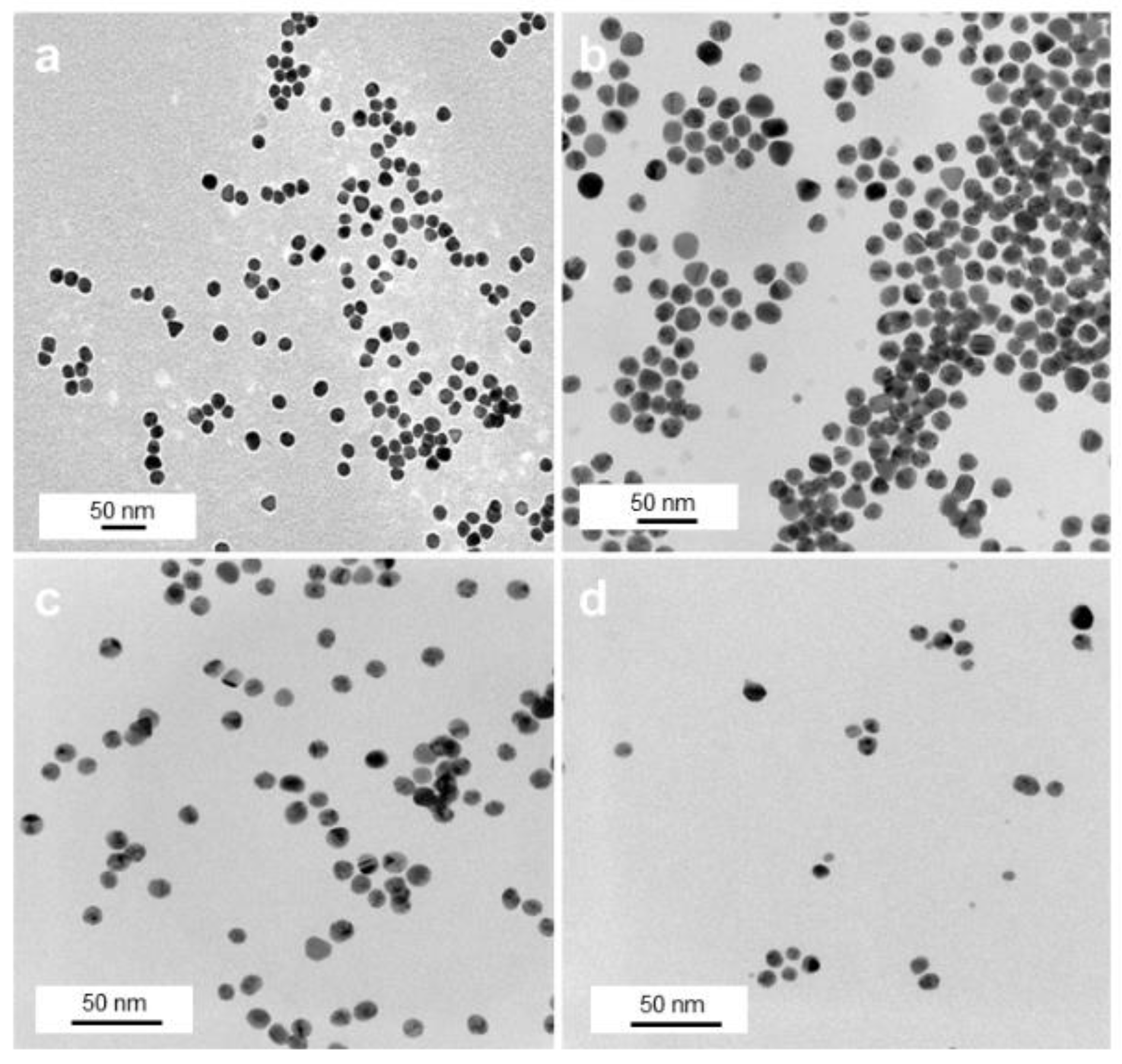 Pharmaceutics 13 00295 g002