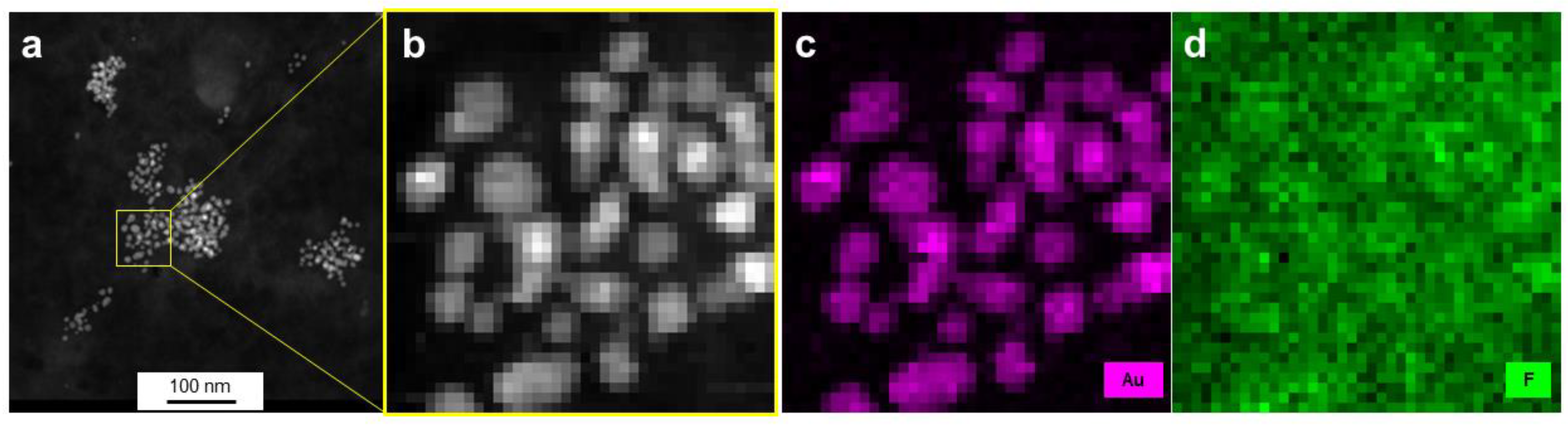 Pharmaceutics 13 00295 g005