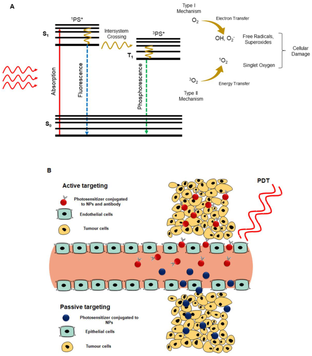 Pharmaceutics 13 00296 g002