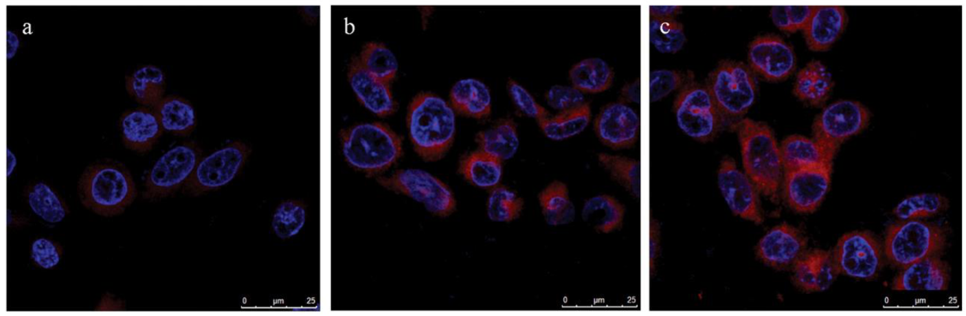 Pharmaceutics 13 00296 g005