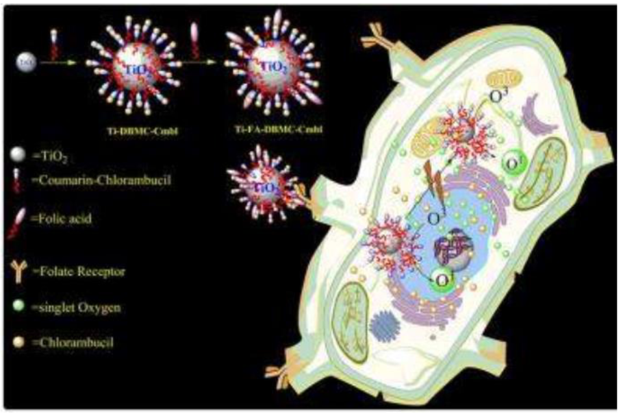 Pharmaceutics 13 00296 g008