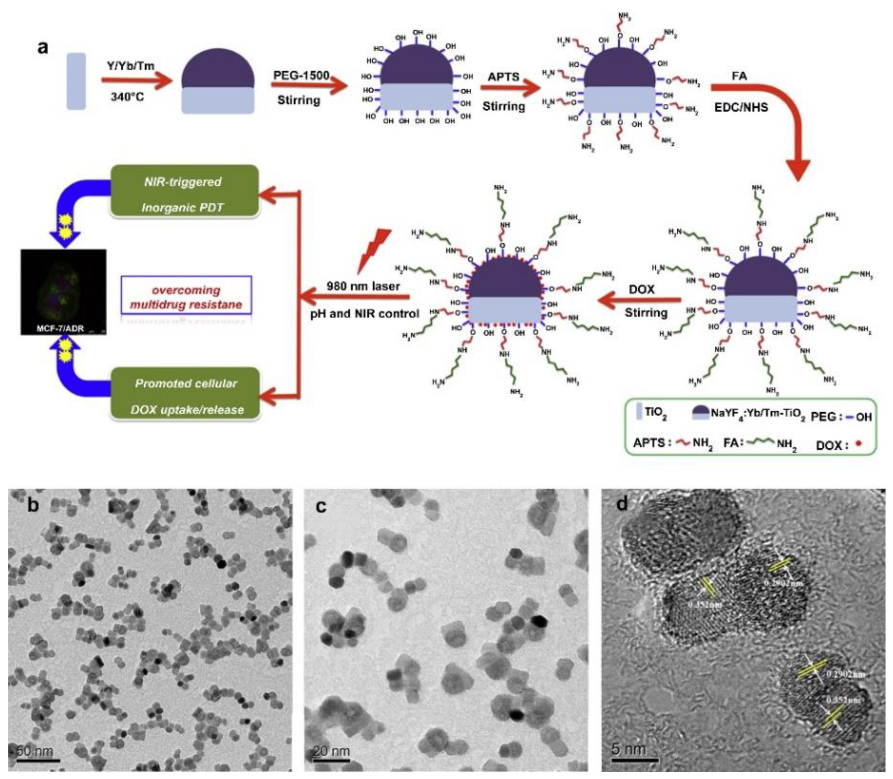 Pharmaceutics 13 00296 g009