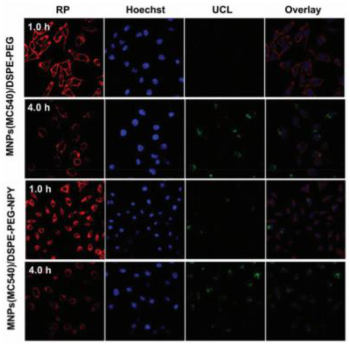 Pharmaceutics 13 00296 g011