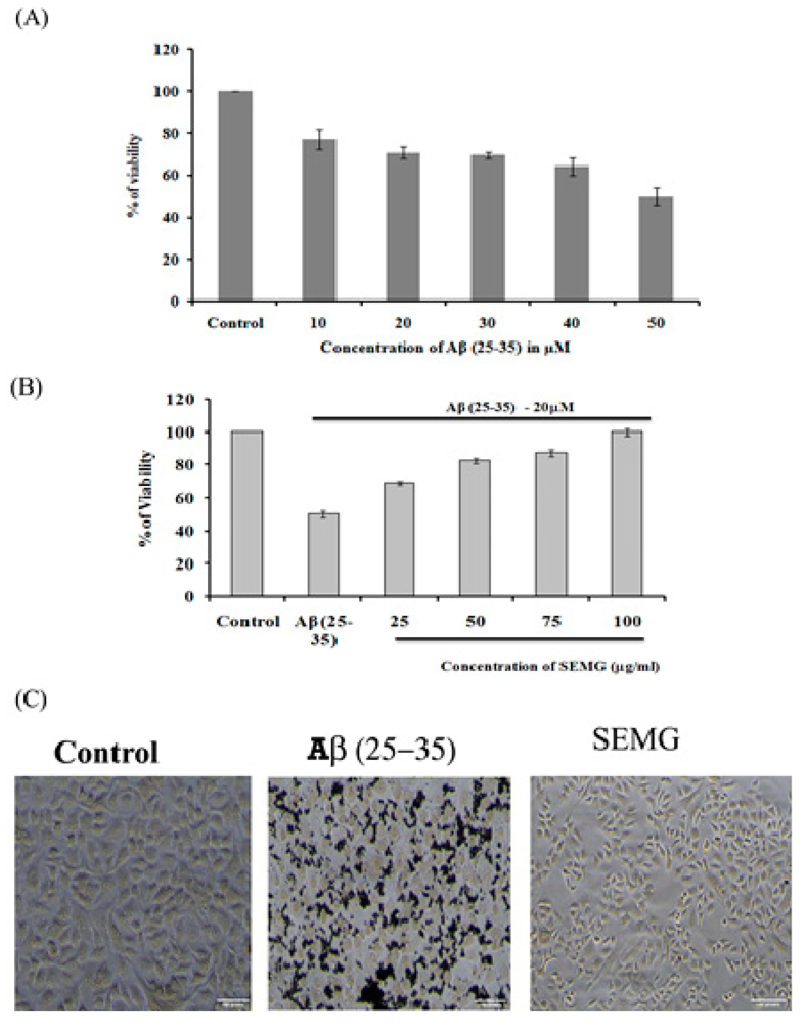Pharmaceutics 13 00299 g006