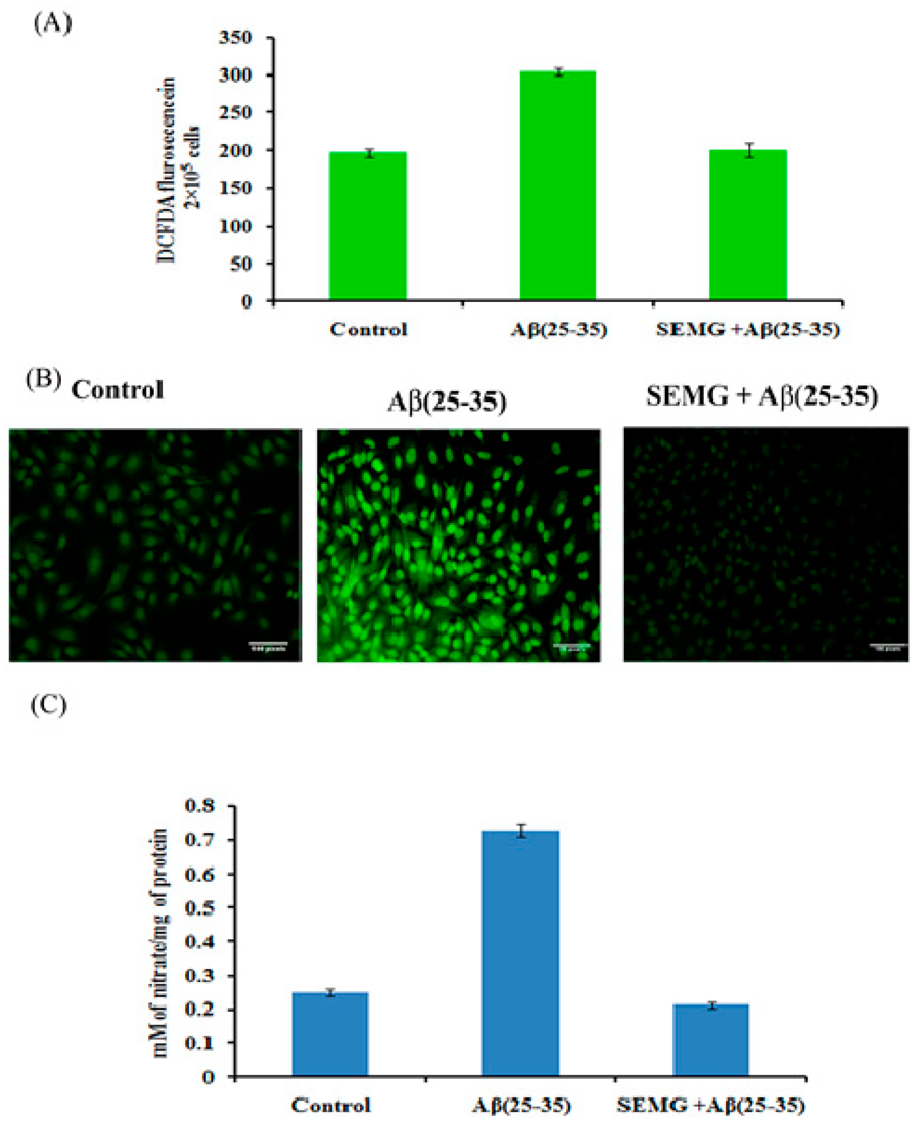 Pharmaceutics 13 00299 g007