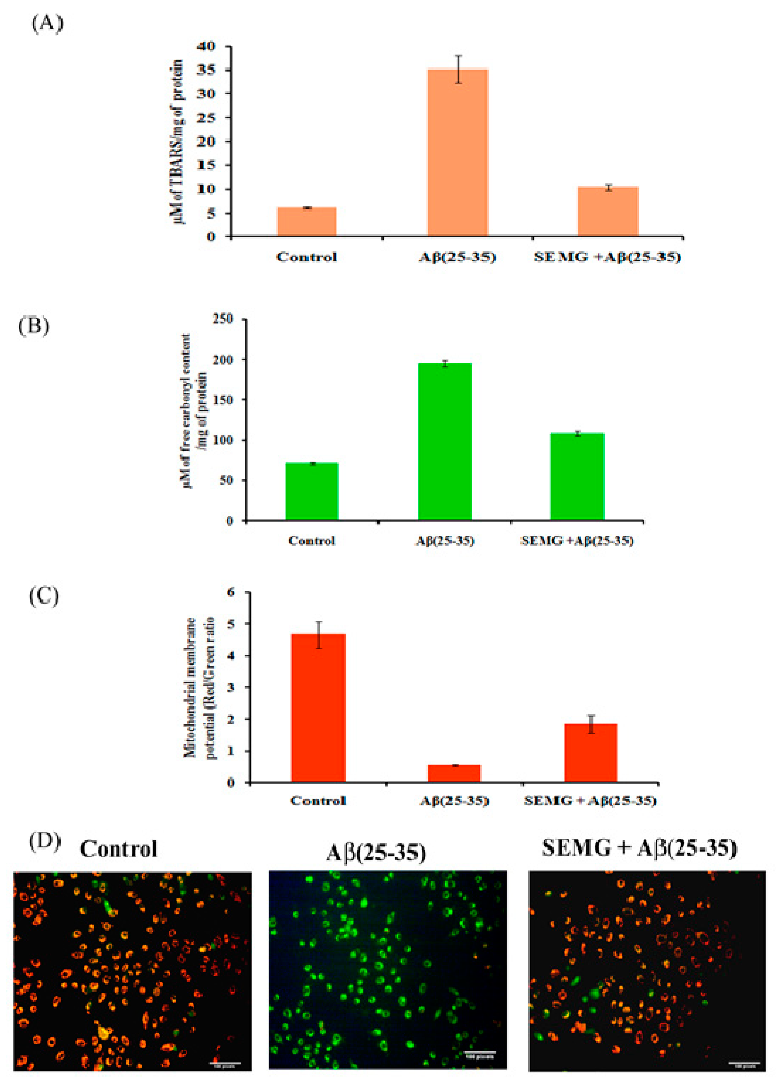 Pharmaceutics 13 00299 g008