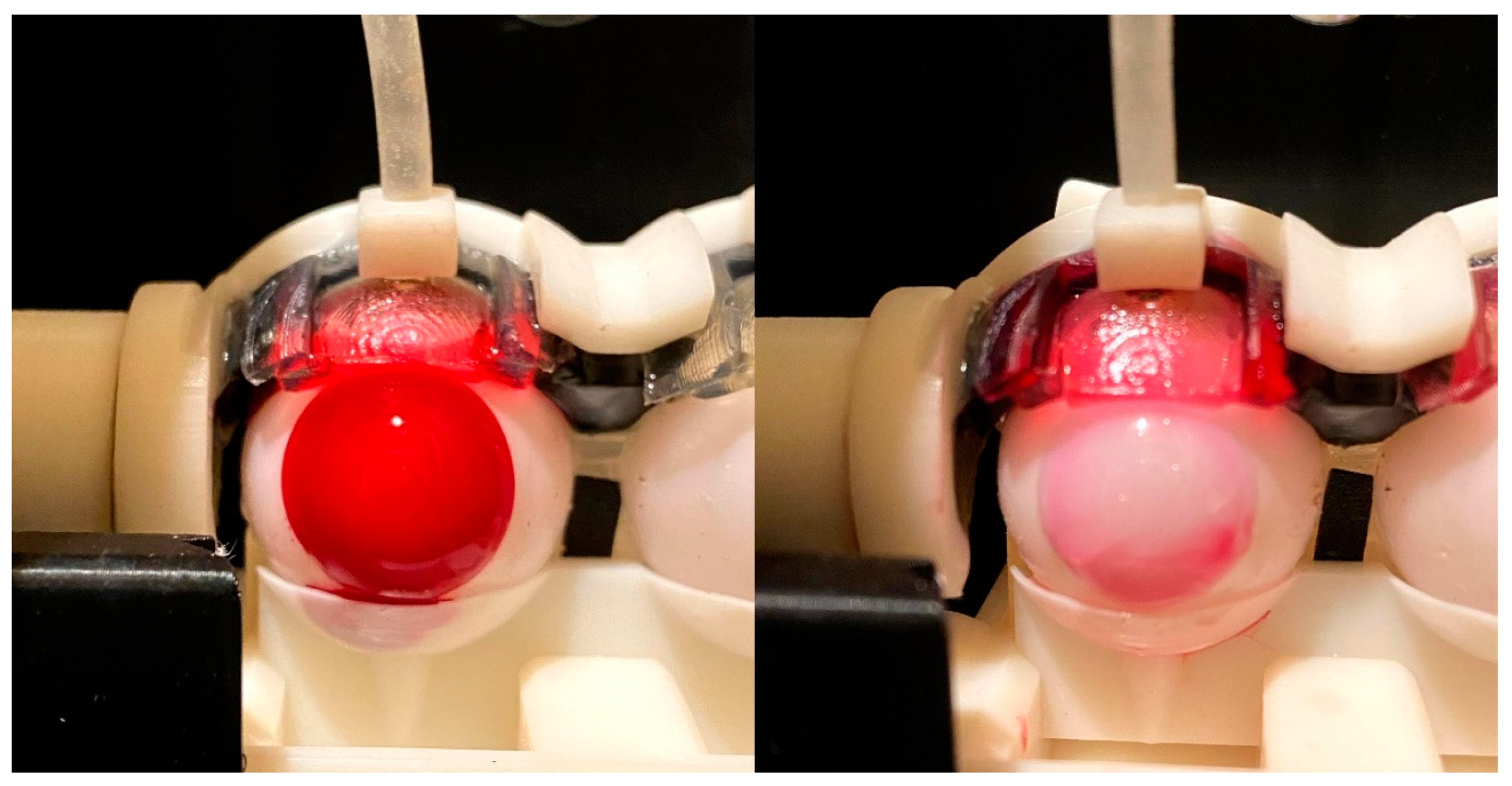 Pharmaceutics 13 00300 g006