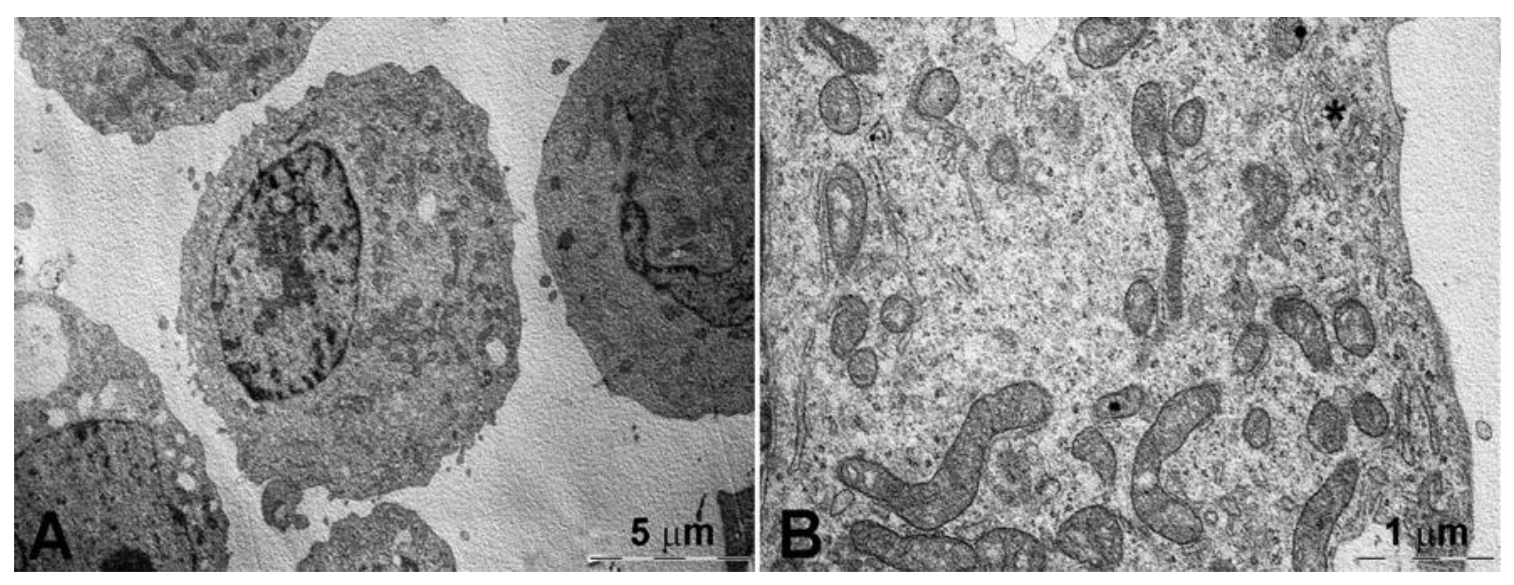 Pharmaceutics 13 00306 g007 Pharmaceutics 13 00306 g007