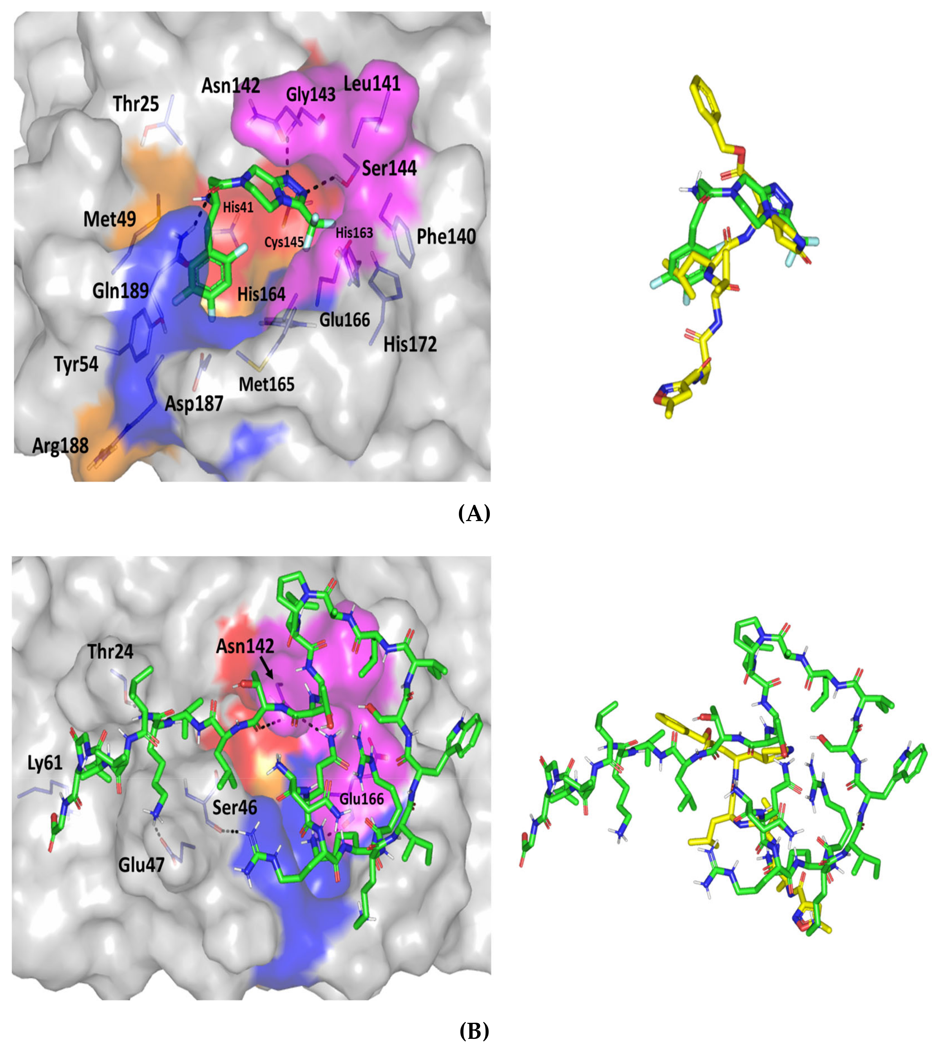 Pharmaceutics 13 00307 g008