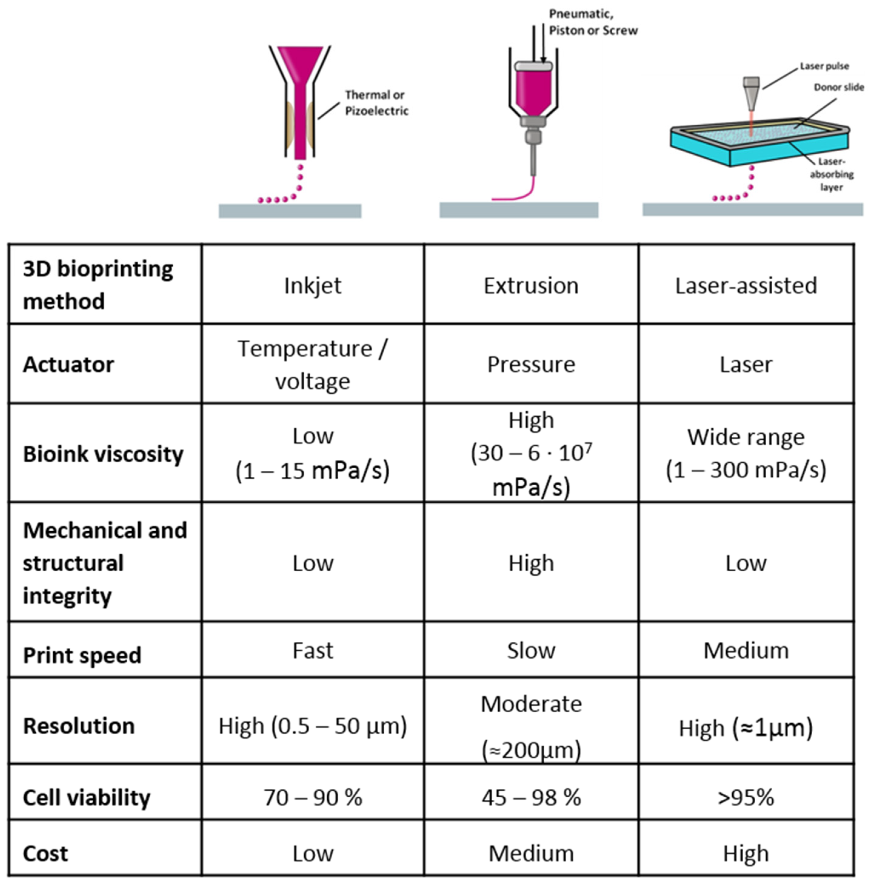 Pharmaceutics 13 00308 g002