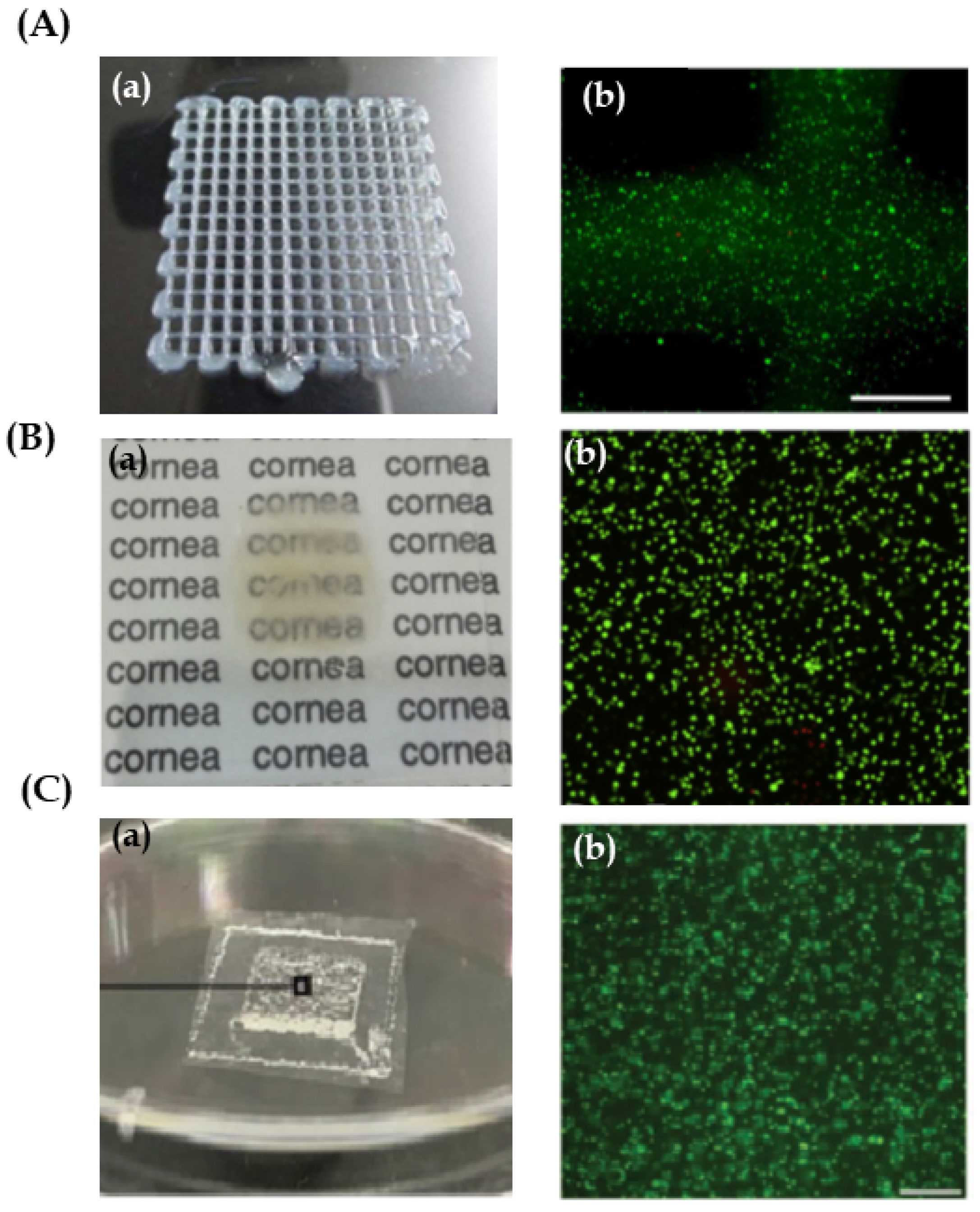 Pharmaceutics 13 00308 g005
