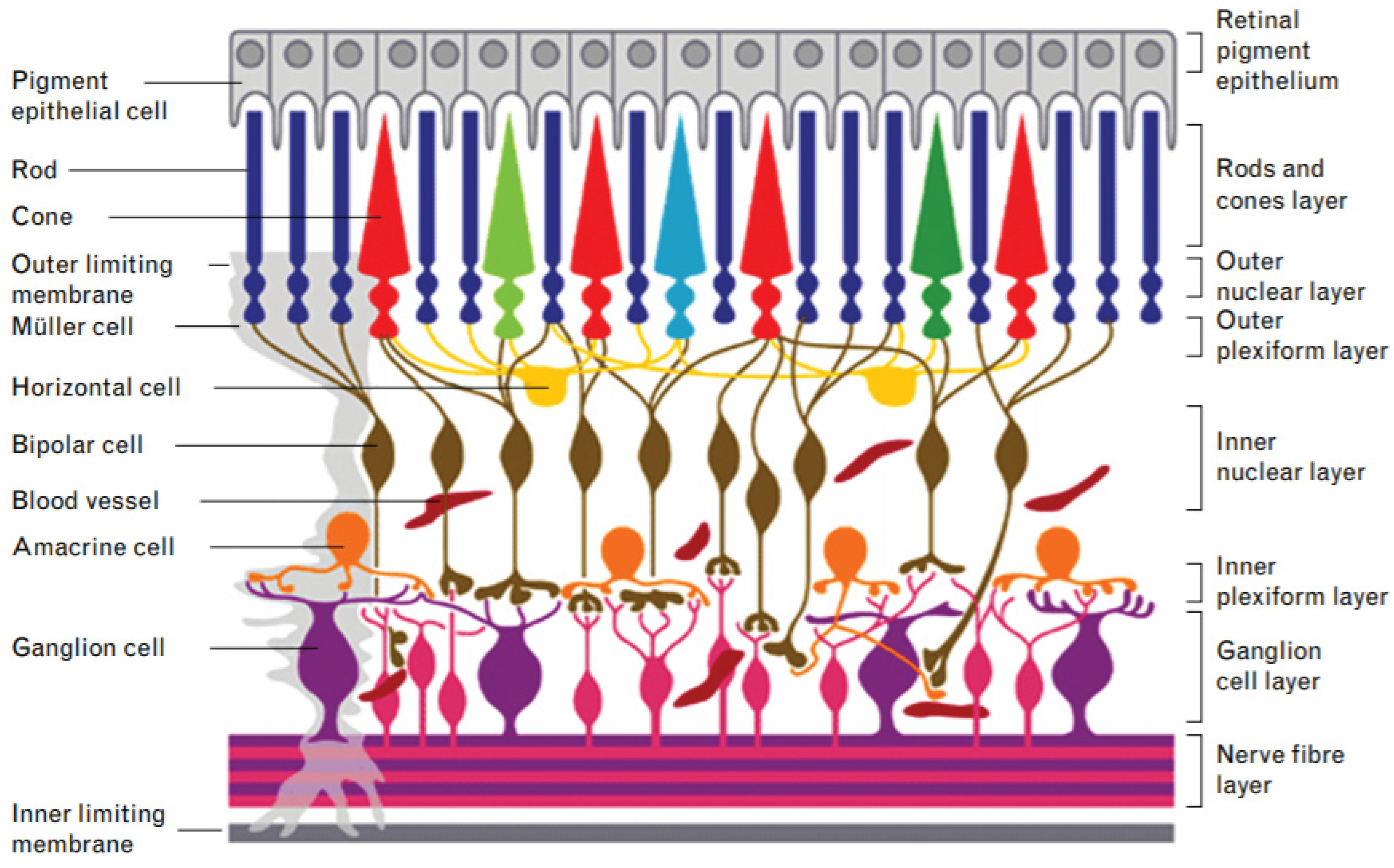 Pharmaceutics 13 00308 g006