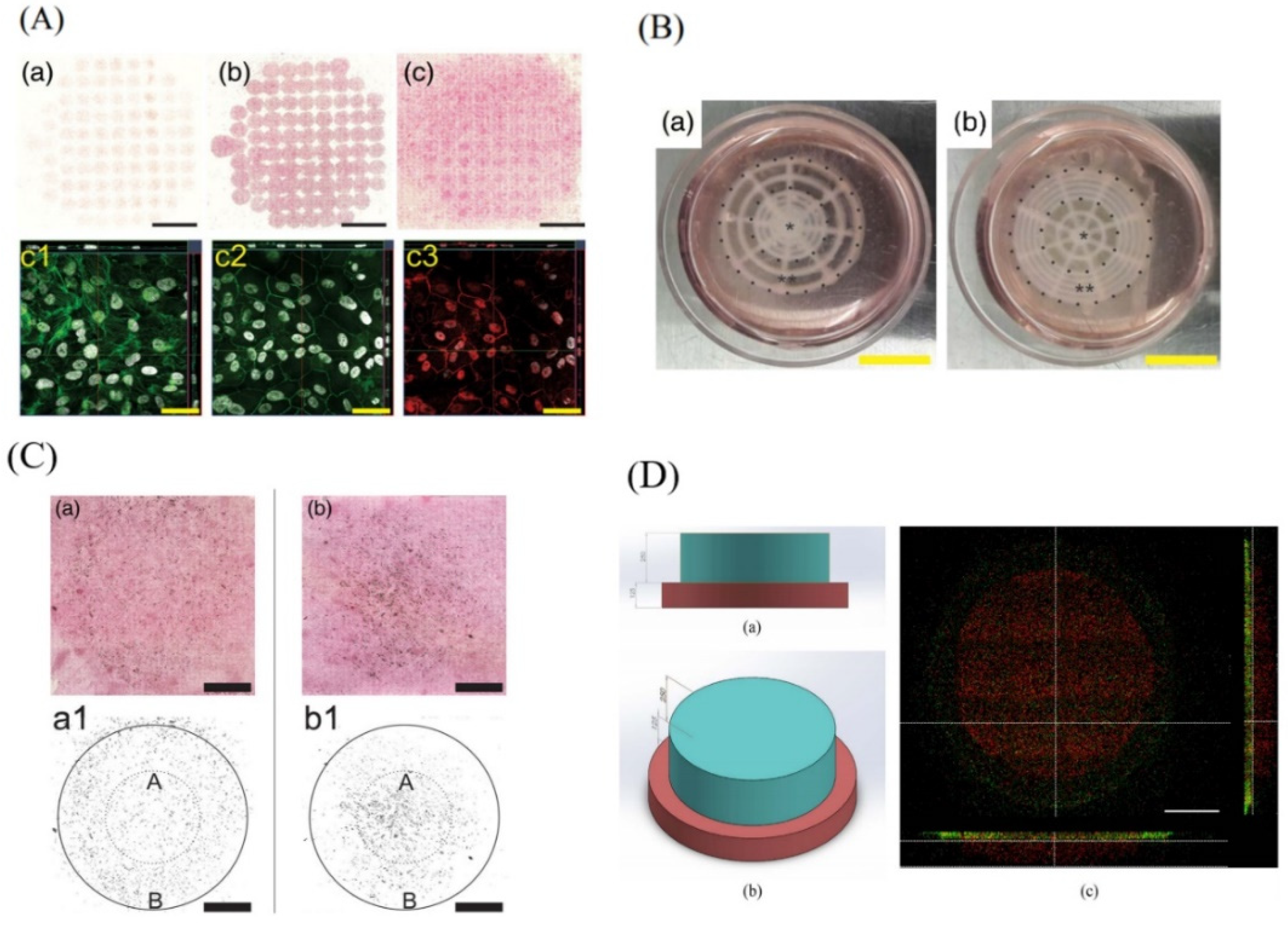 Pharmaceutics 13 00308 g008