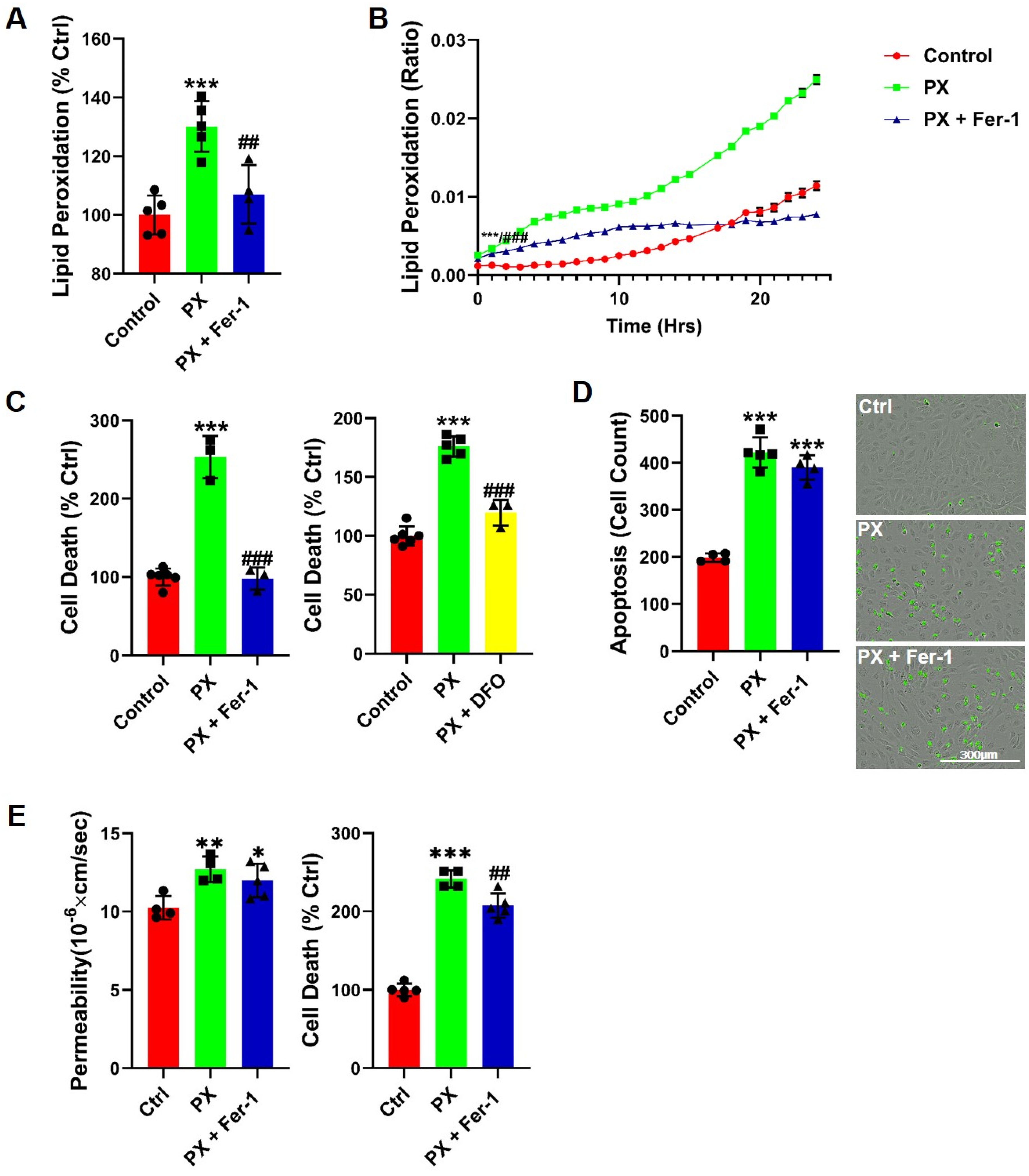 Pharmaceutics 13 00311 g001