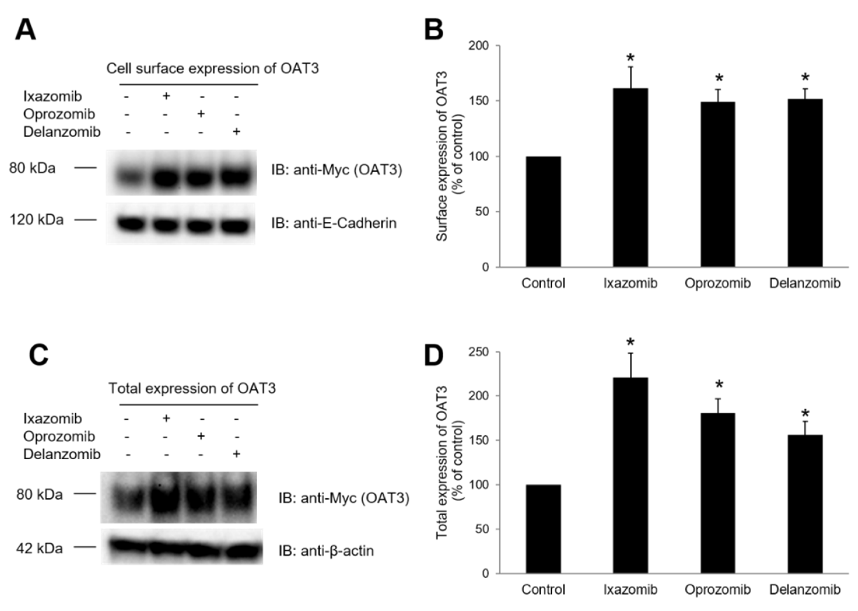 Pharmaceutics 13 00314 g009