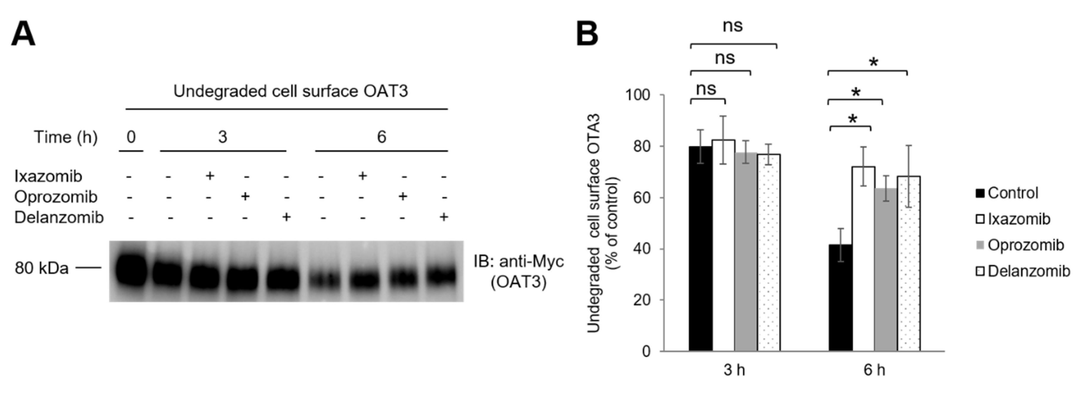 Pharmaceutics 13 00314 g010