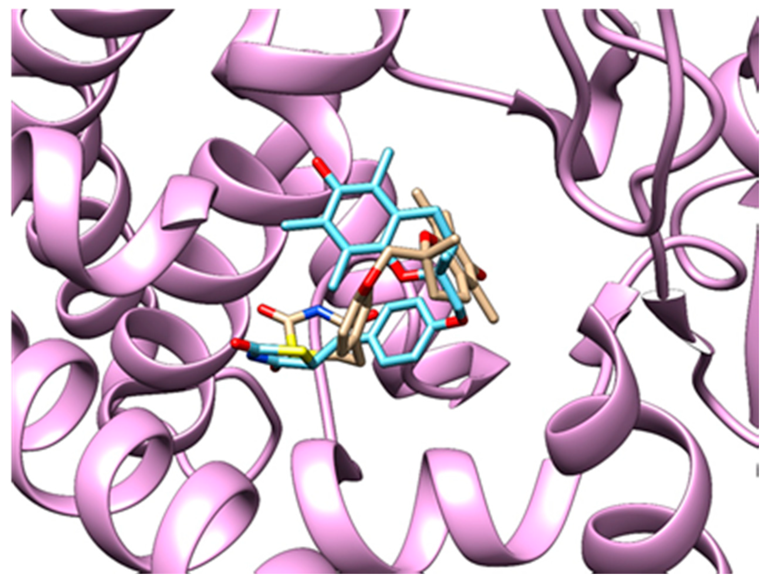 Pharmaceutics 13 00315 g004