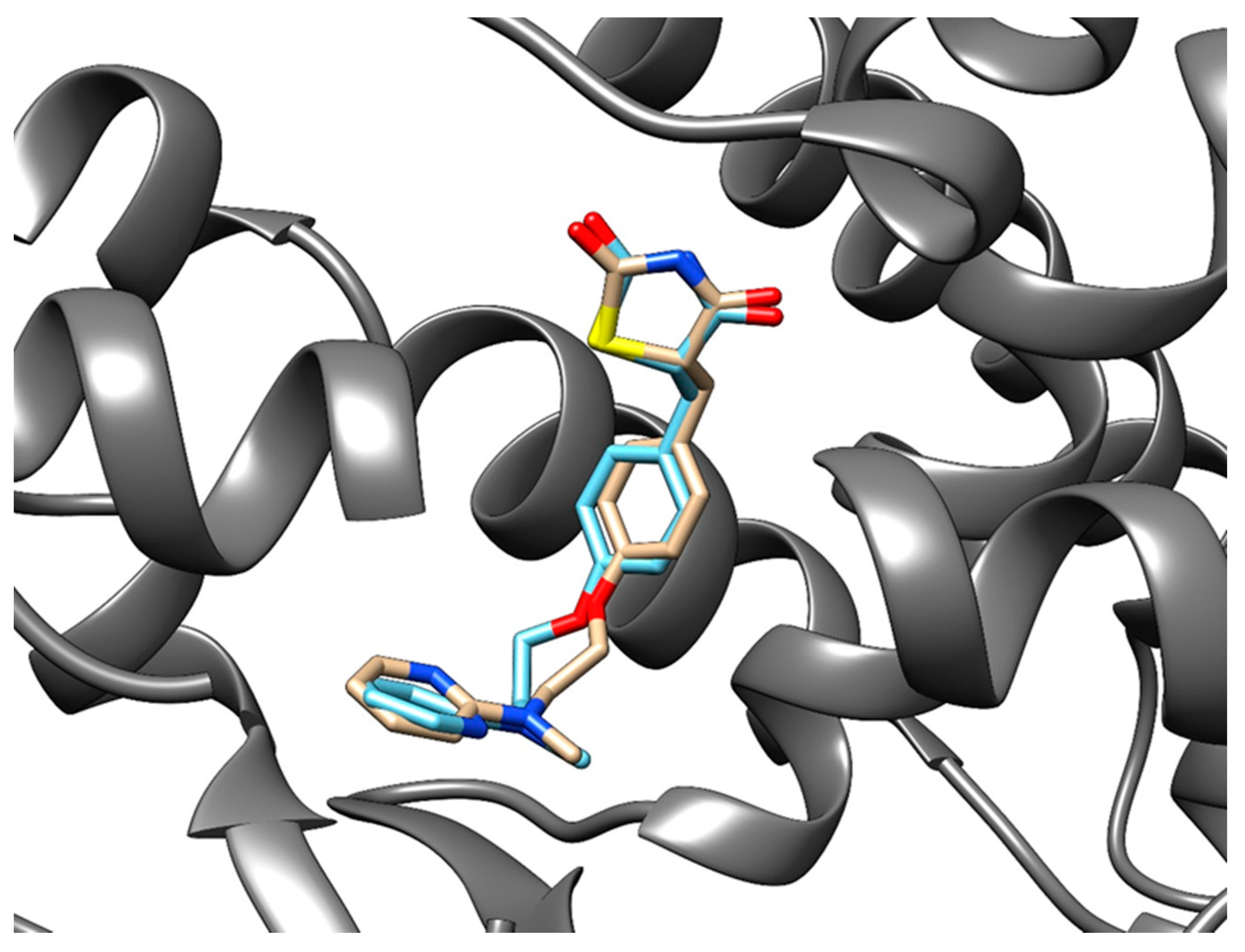 Pharmaceutics 13 00315 g005