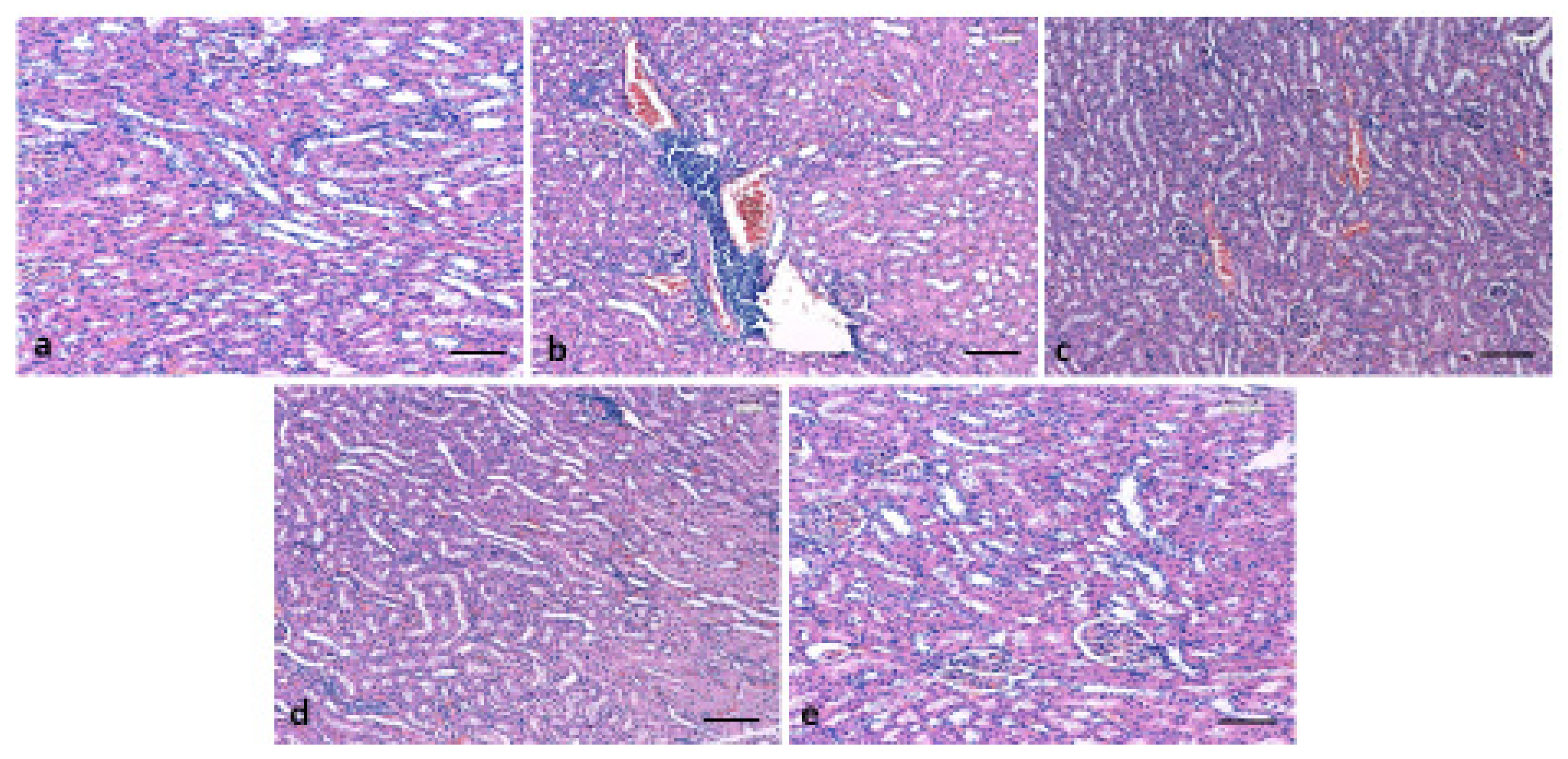 Pharmaceutics 13 00317 g006