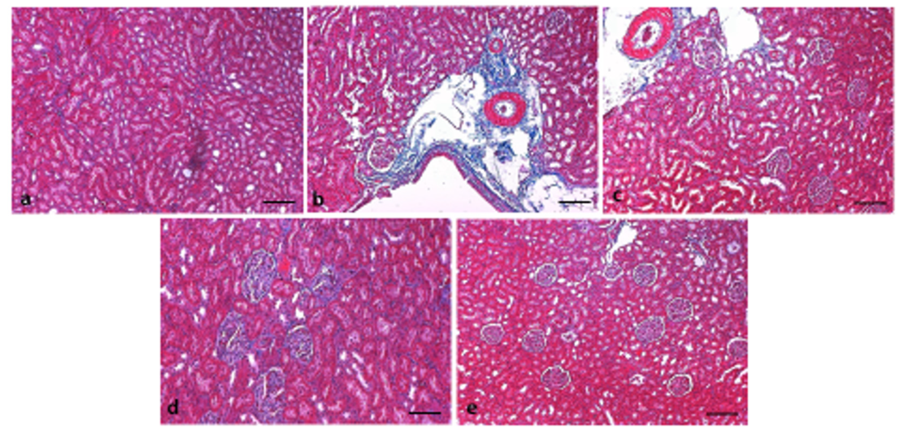 Pharmaceutics 13 00317 g007
