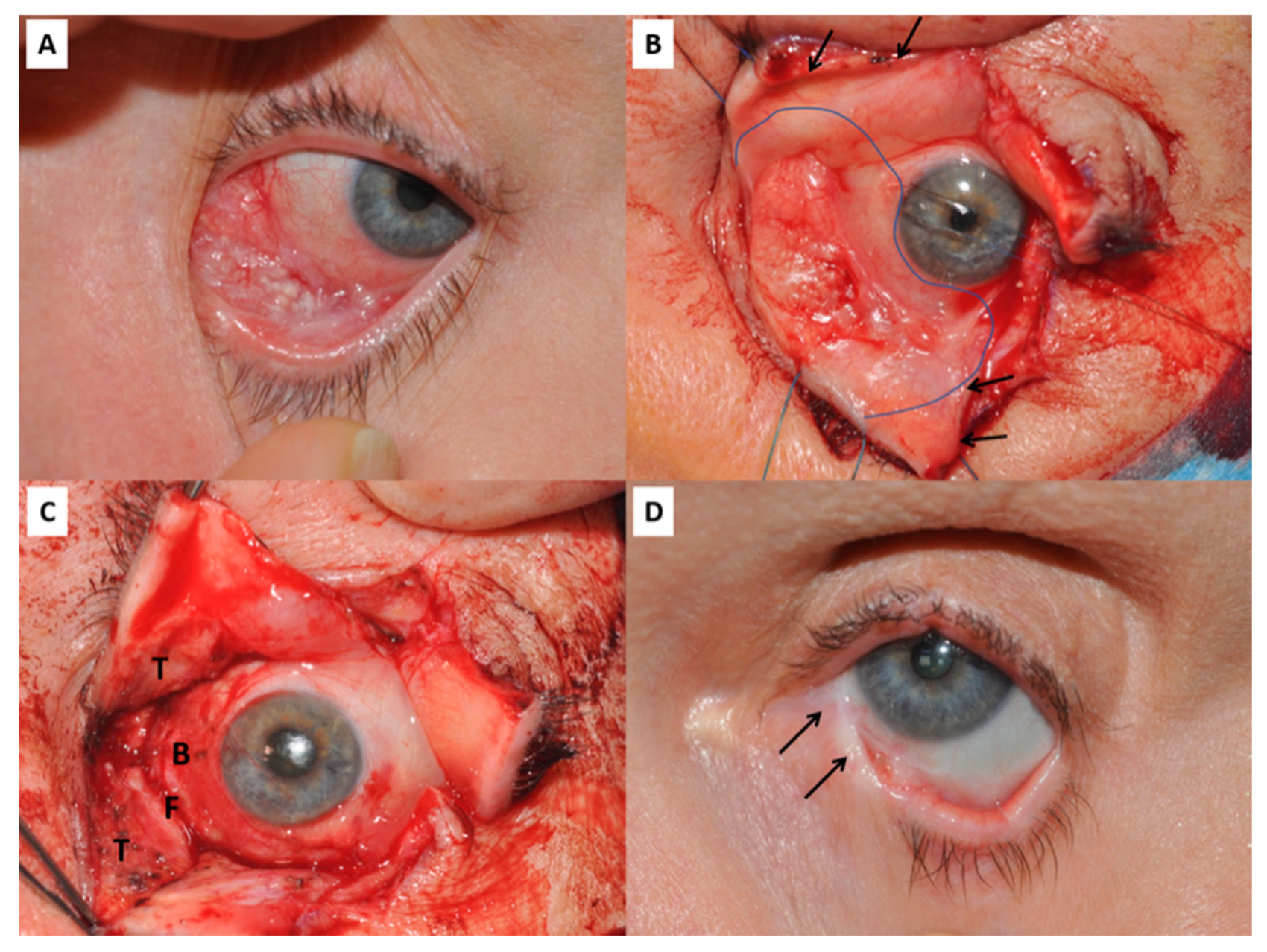 Pharmaceutics 13 00318 g001