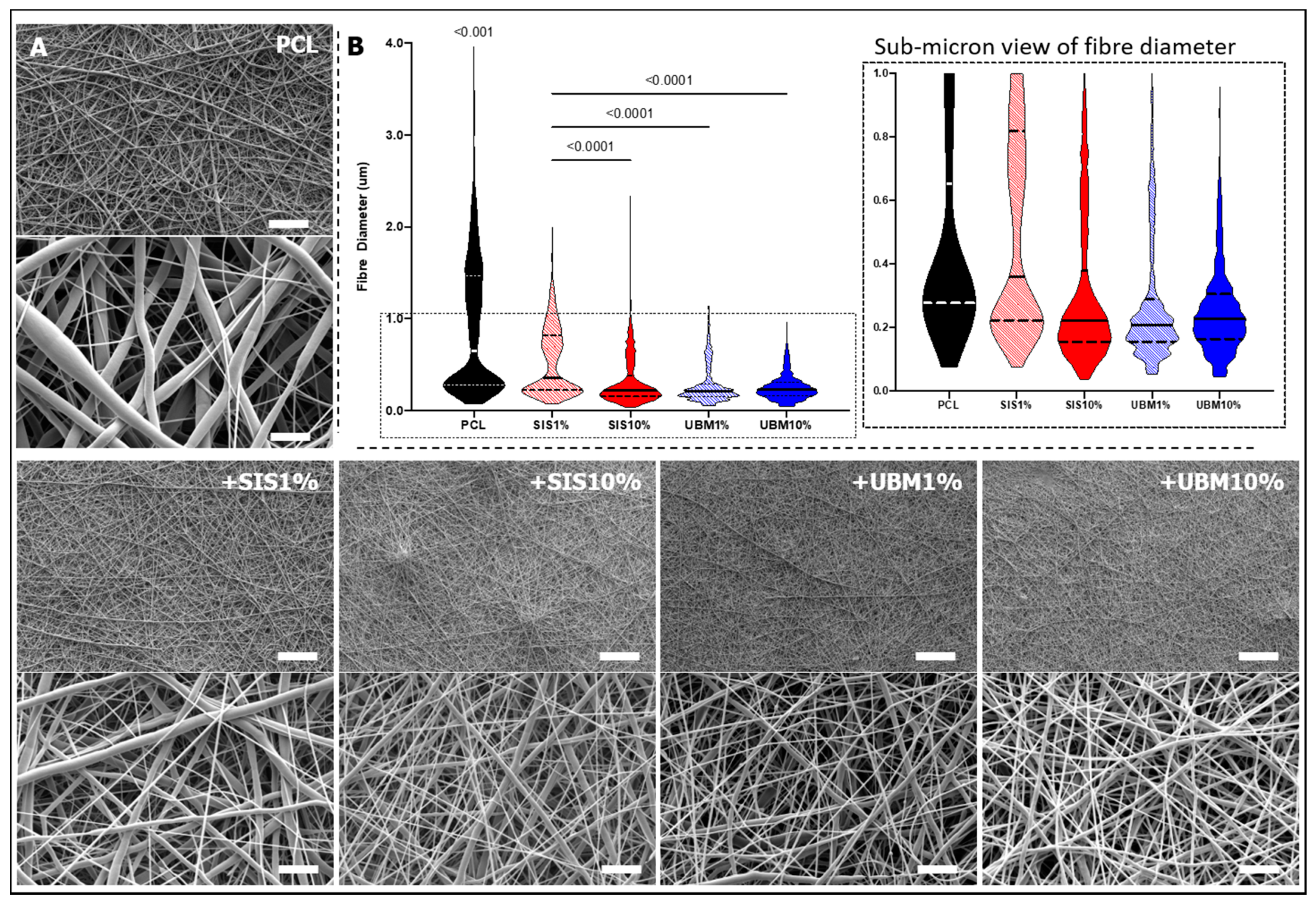Pharmaceutics 13 00318 g004