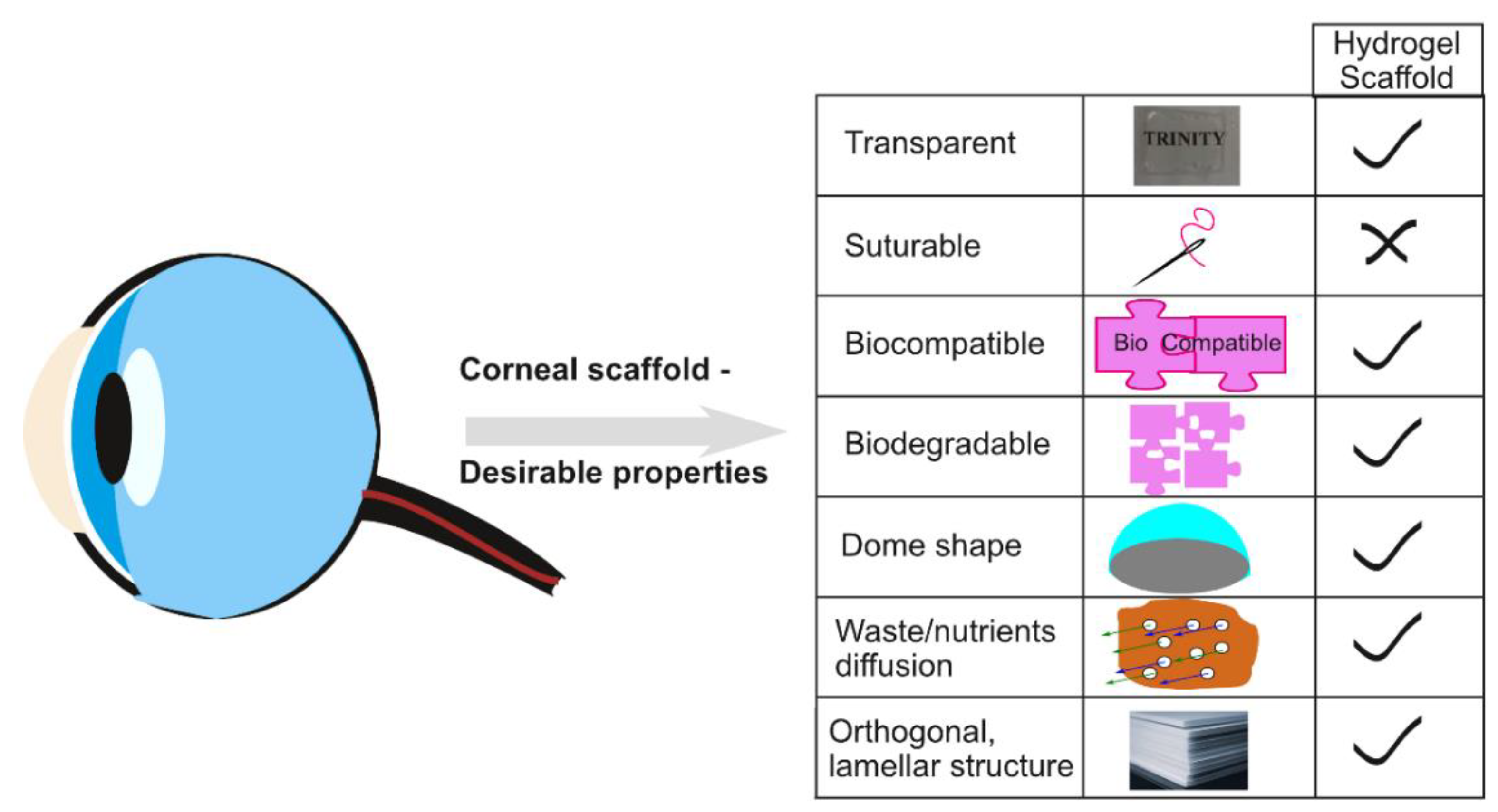 Pharmaceutics 13 00319 g001 Pharmaceutics 13 00319 g001