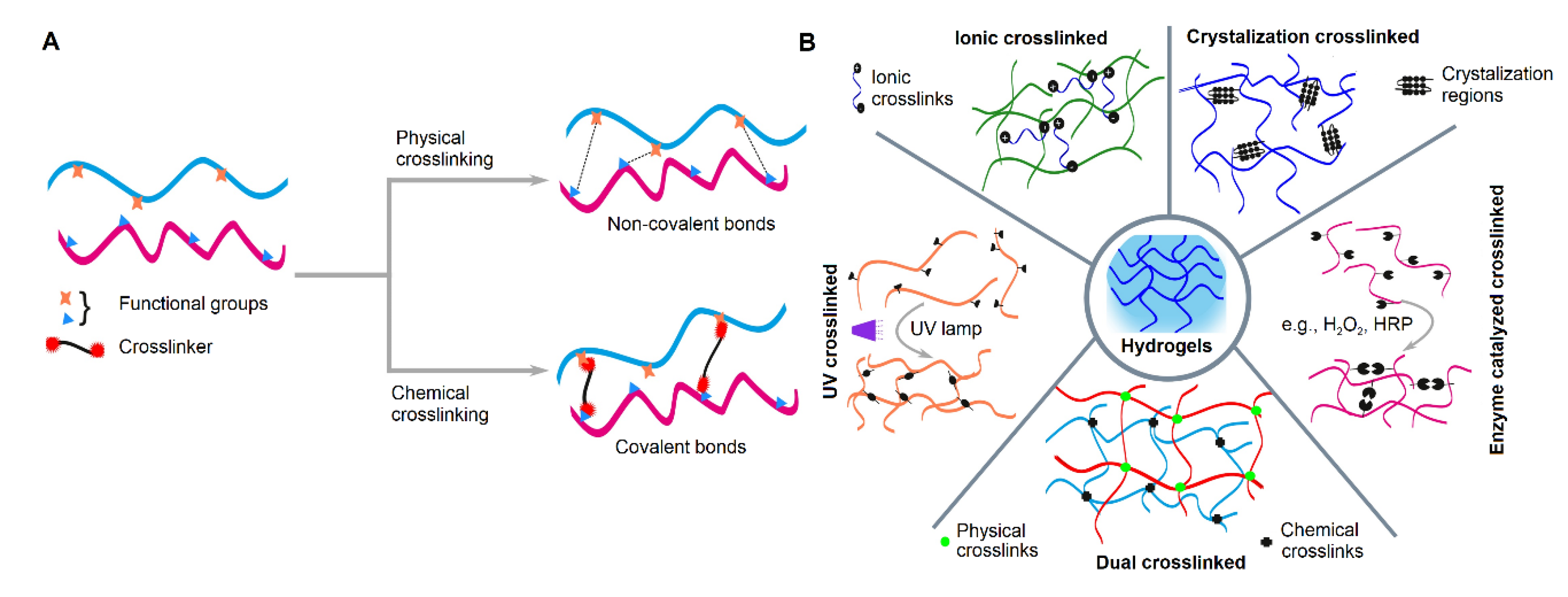 Pharmaceutics 13 00319 g002 Pharmaceutics 13 00319 g002