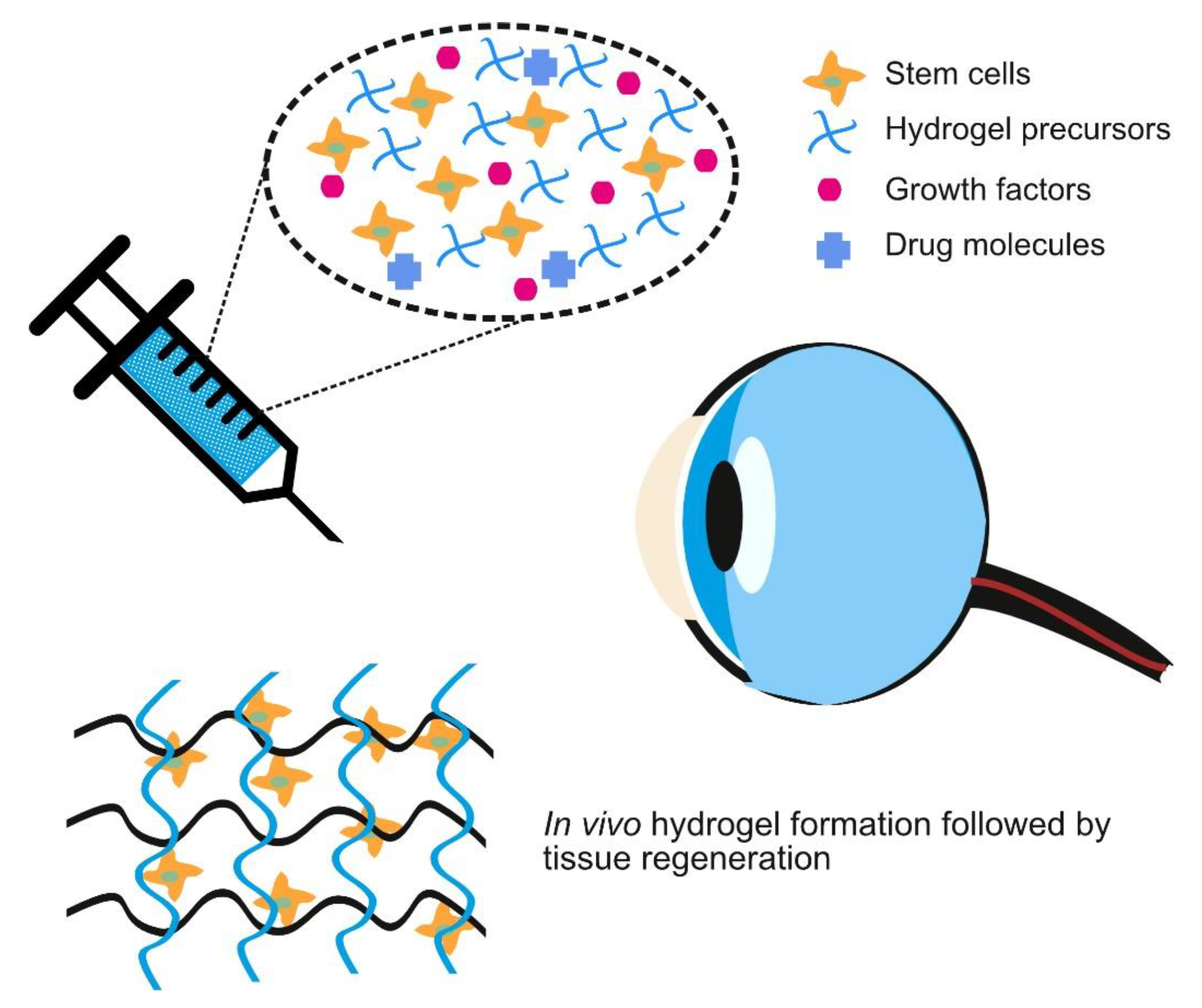 Pharmaceutics 13 00319 g003 Pharmaceutics 13 00319 g003