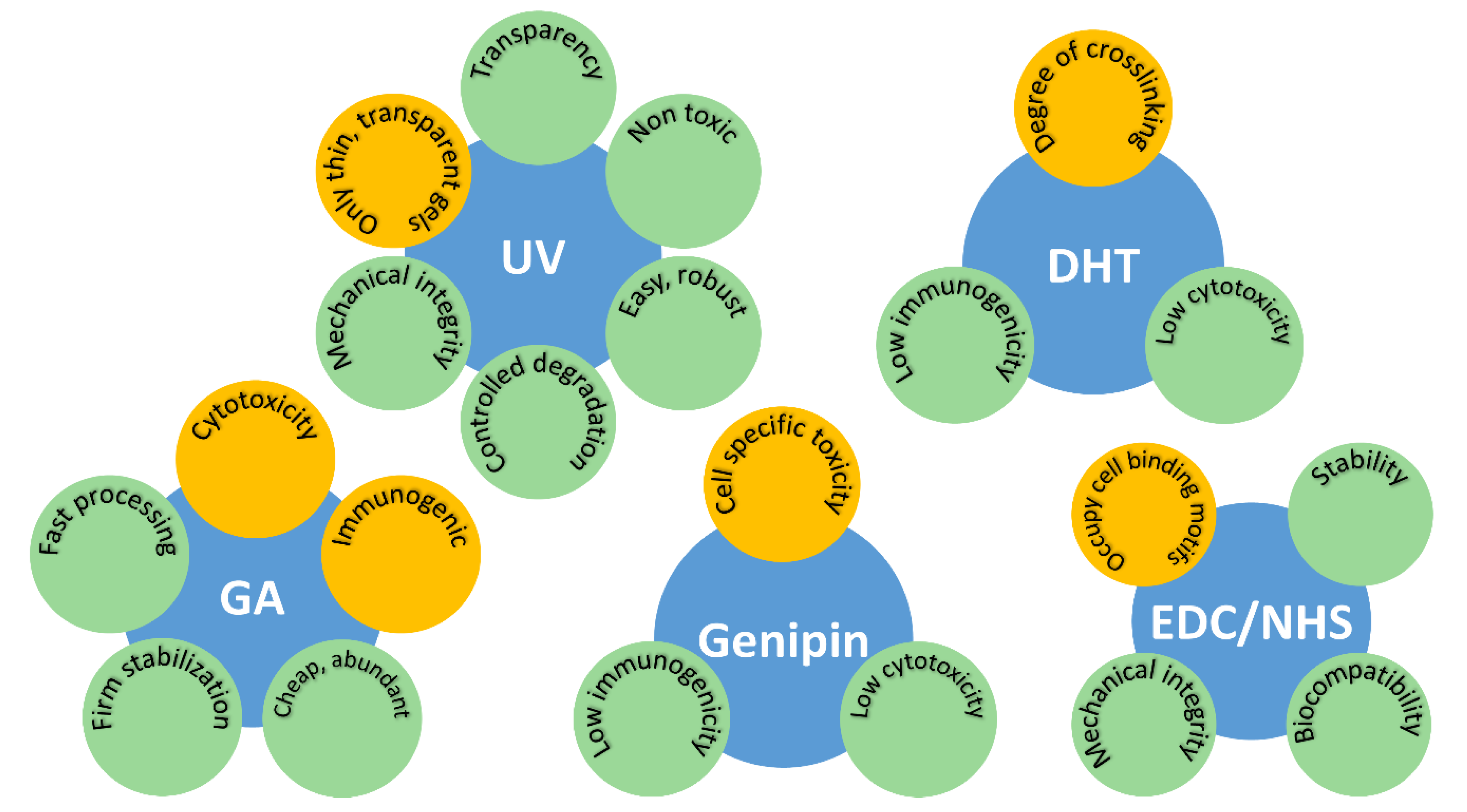 Pharmaceutics 13 00319 g004 Pharmaceutics 13 00319 g004