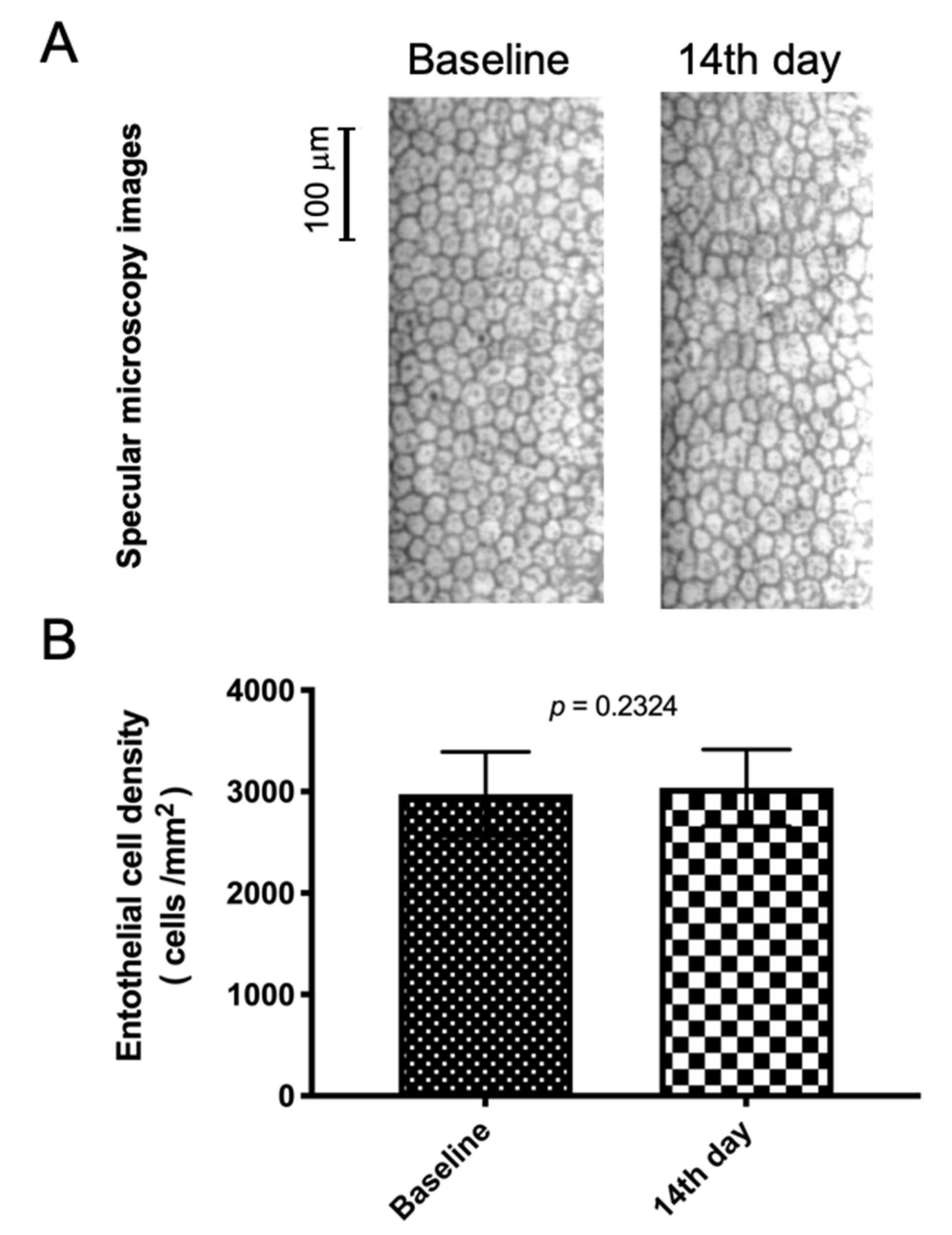Pharmaceutics 13 00322 g003