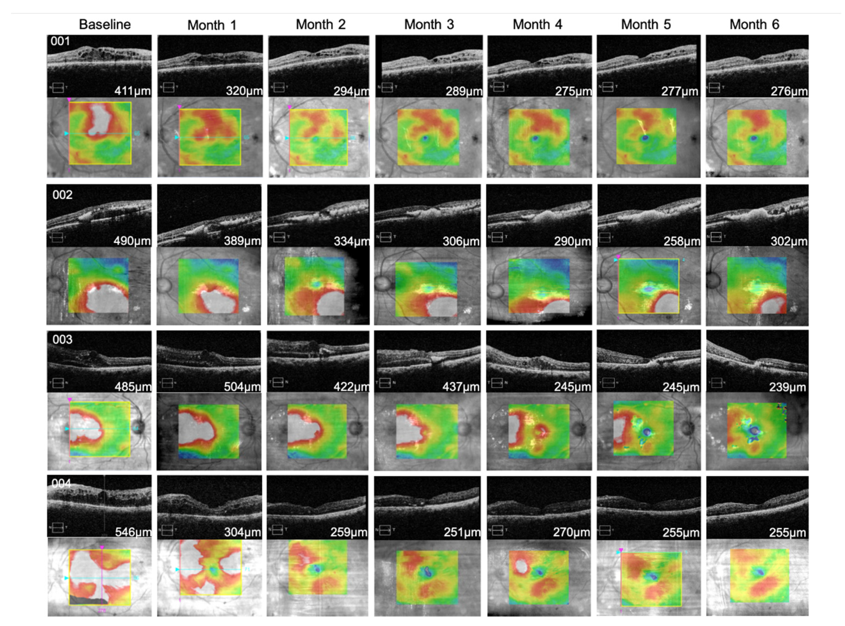 Pharmaceutics 13 00322 g005