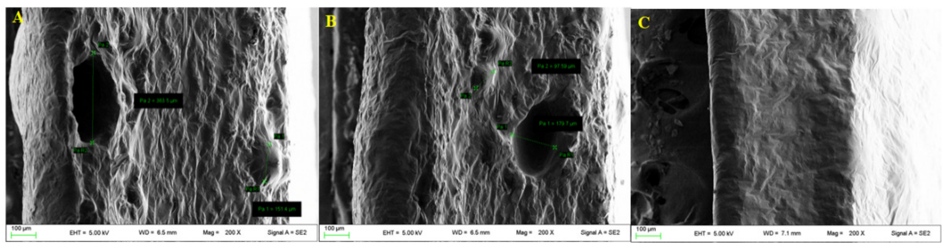 Pharmaceutics 13 00324 g006