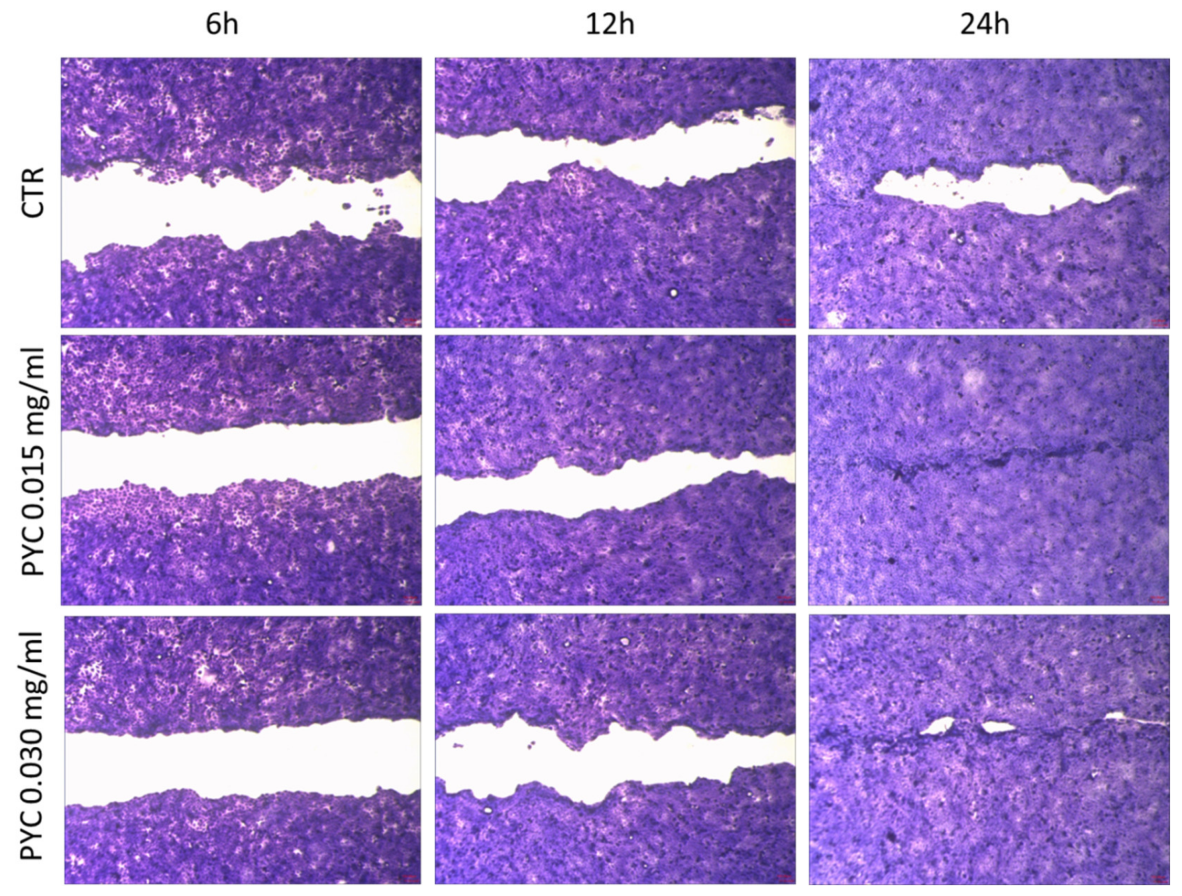 Pharmaceutics 13 00324 g011