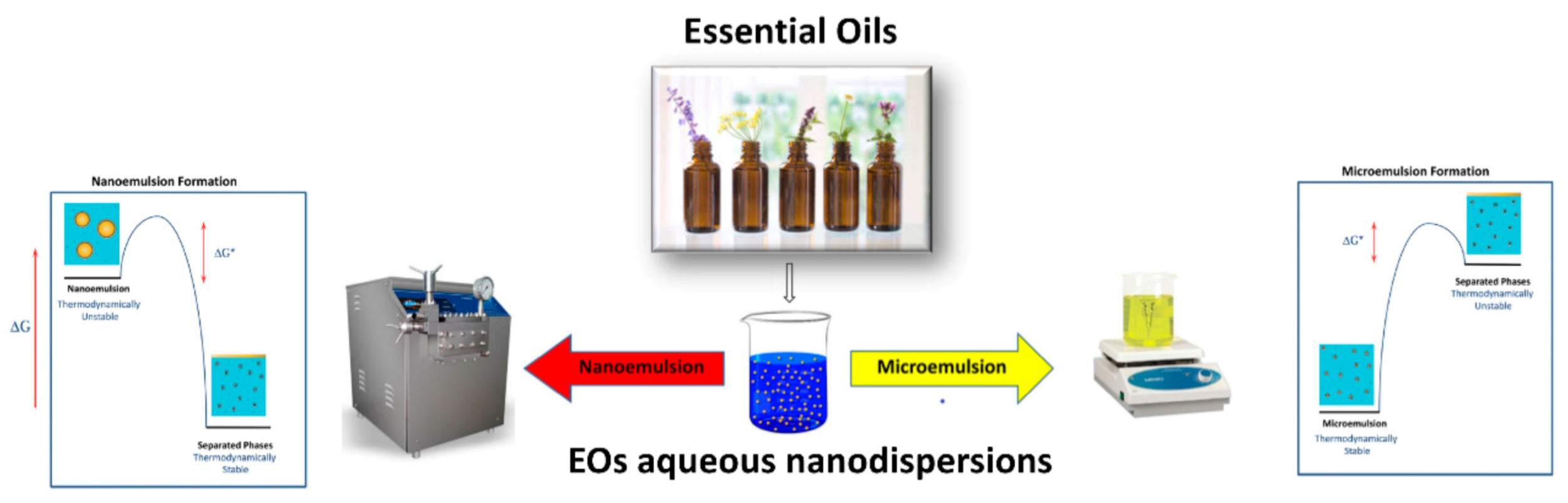 Pharmaceutics 13 00327 g004