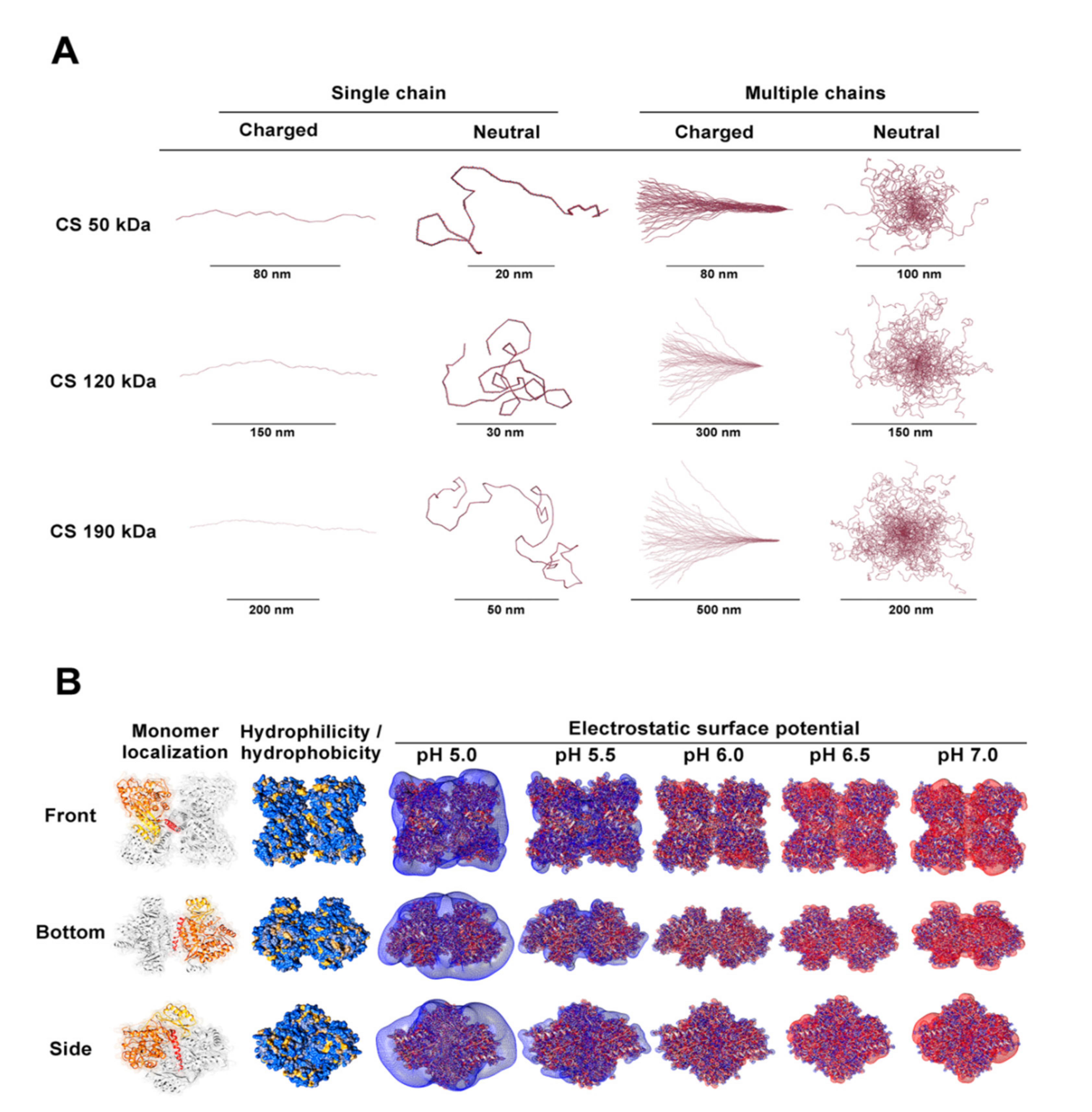 Pharmaceutics 13 00329 g003