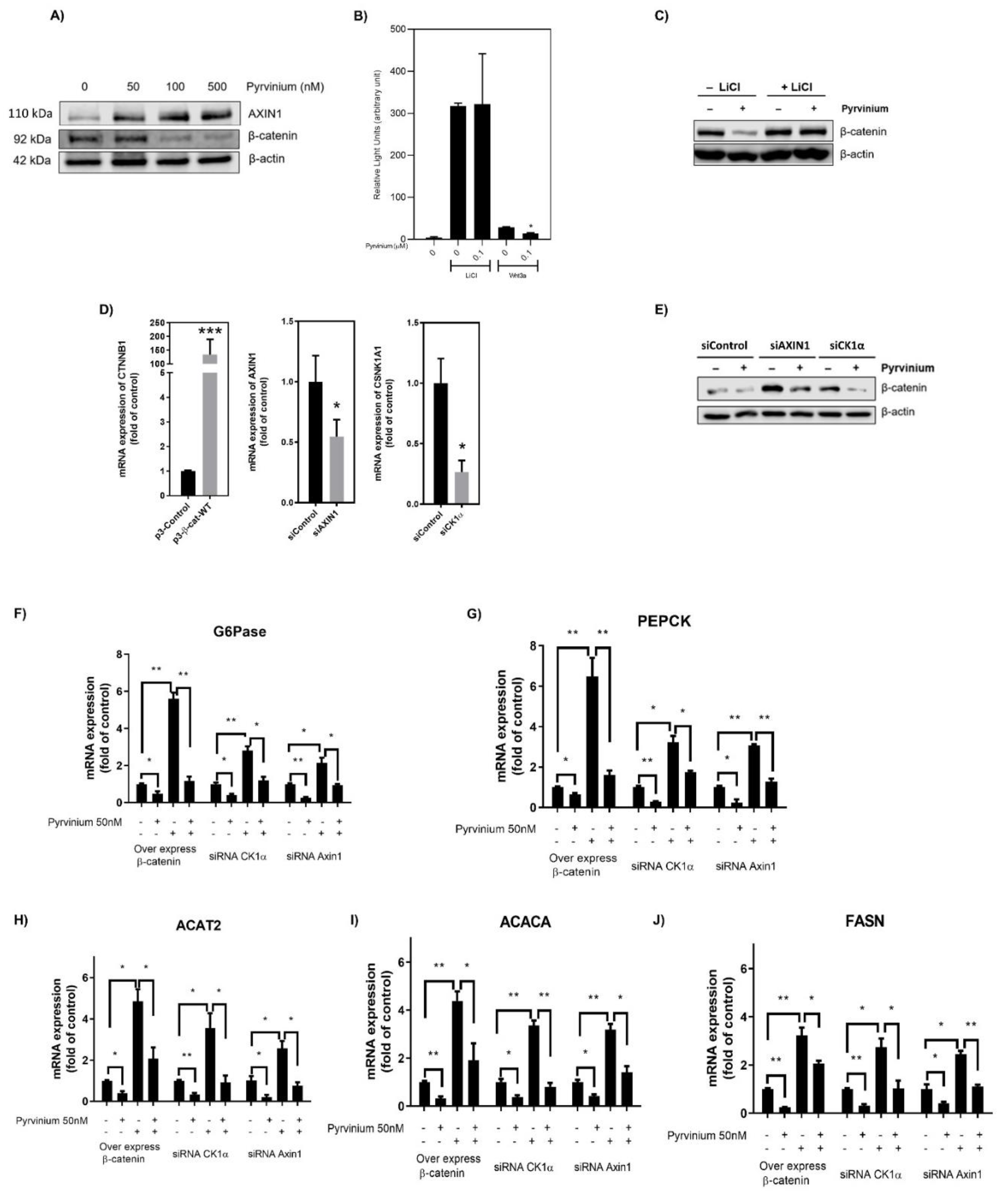 Pharmaceutics 13 00330 g002