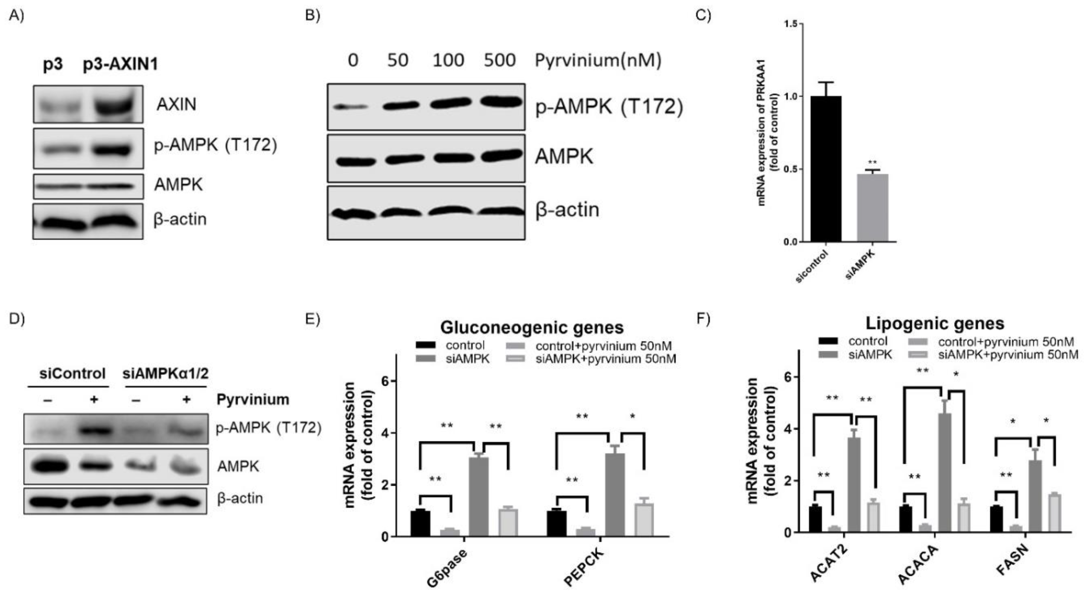 Pharmaceutics 13 00330 g004
