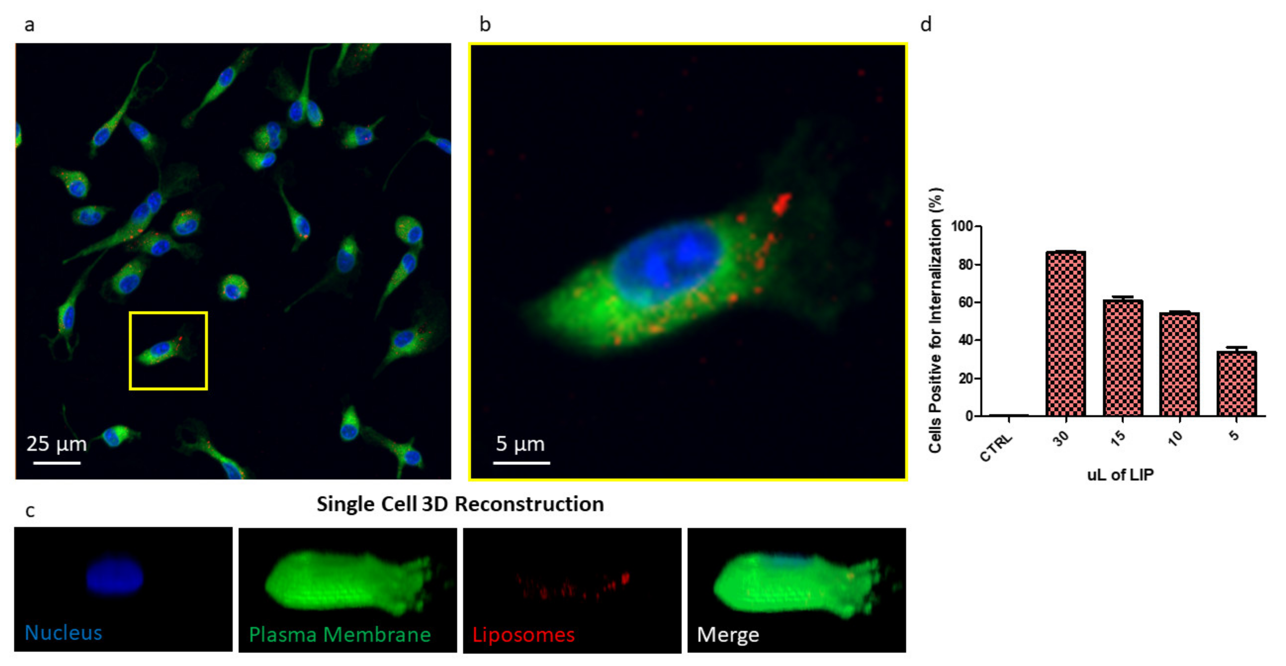 Pharmaceutics 13 00332 g005 Pharmaceutics 13 00332 g005