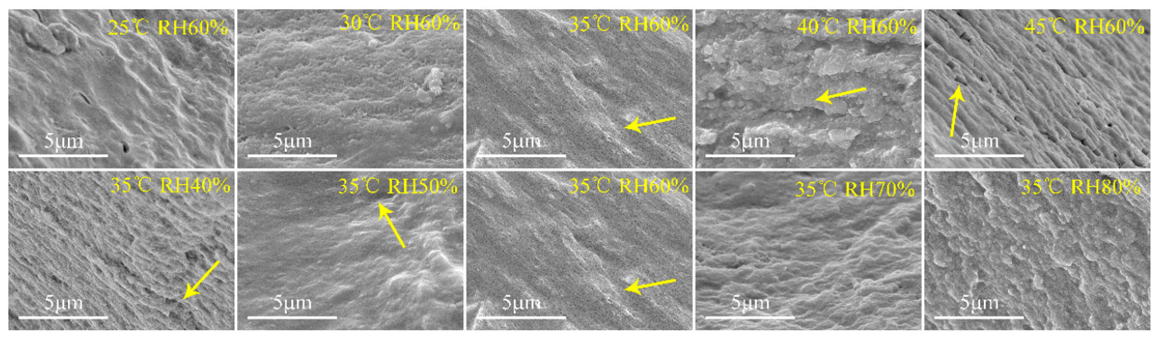 Pharmaceutics 13 00335 g006
